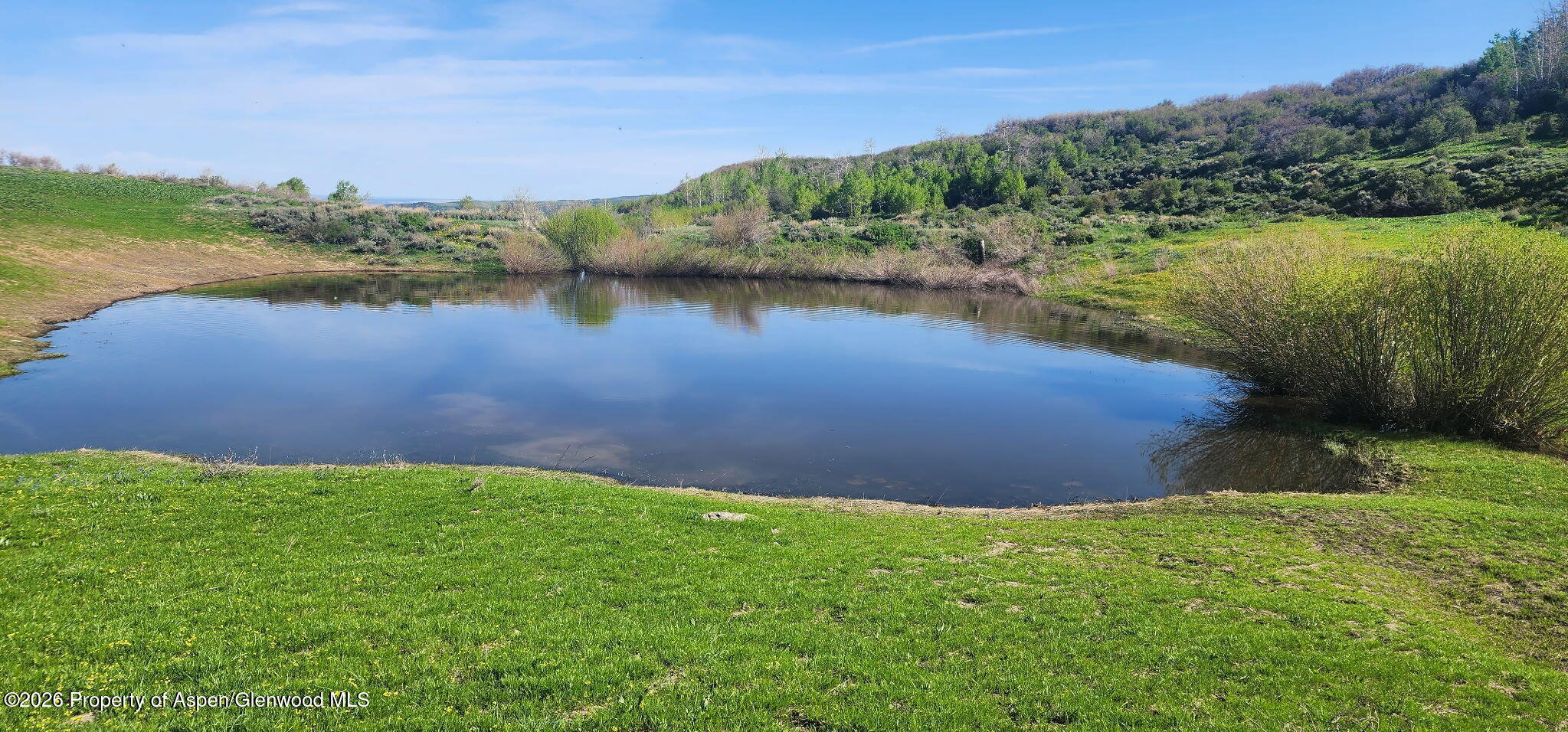 1351 Fiddleneck Drive Craig CO 81625