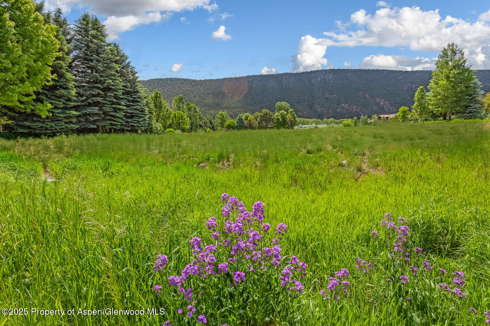 Tbd Midland Loop Carbondale CO 81623