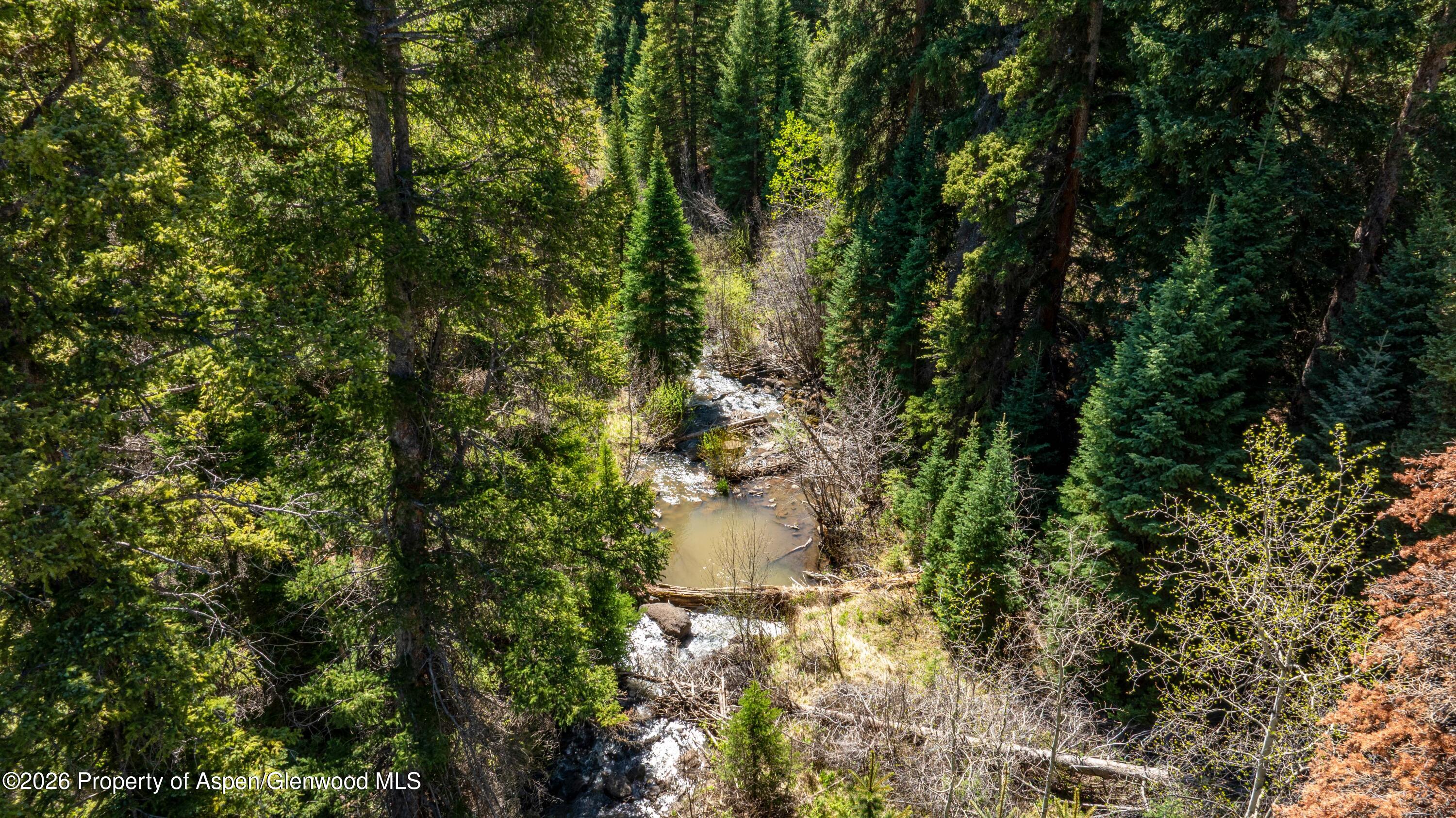 Tbd Forest Service Road 300 Glenwood Springs CO 81601