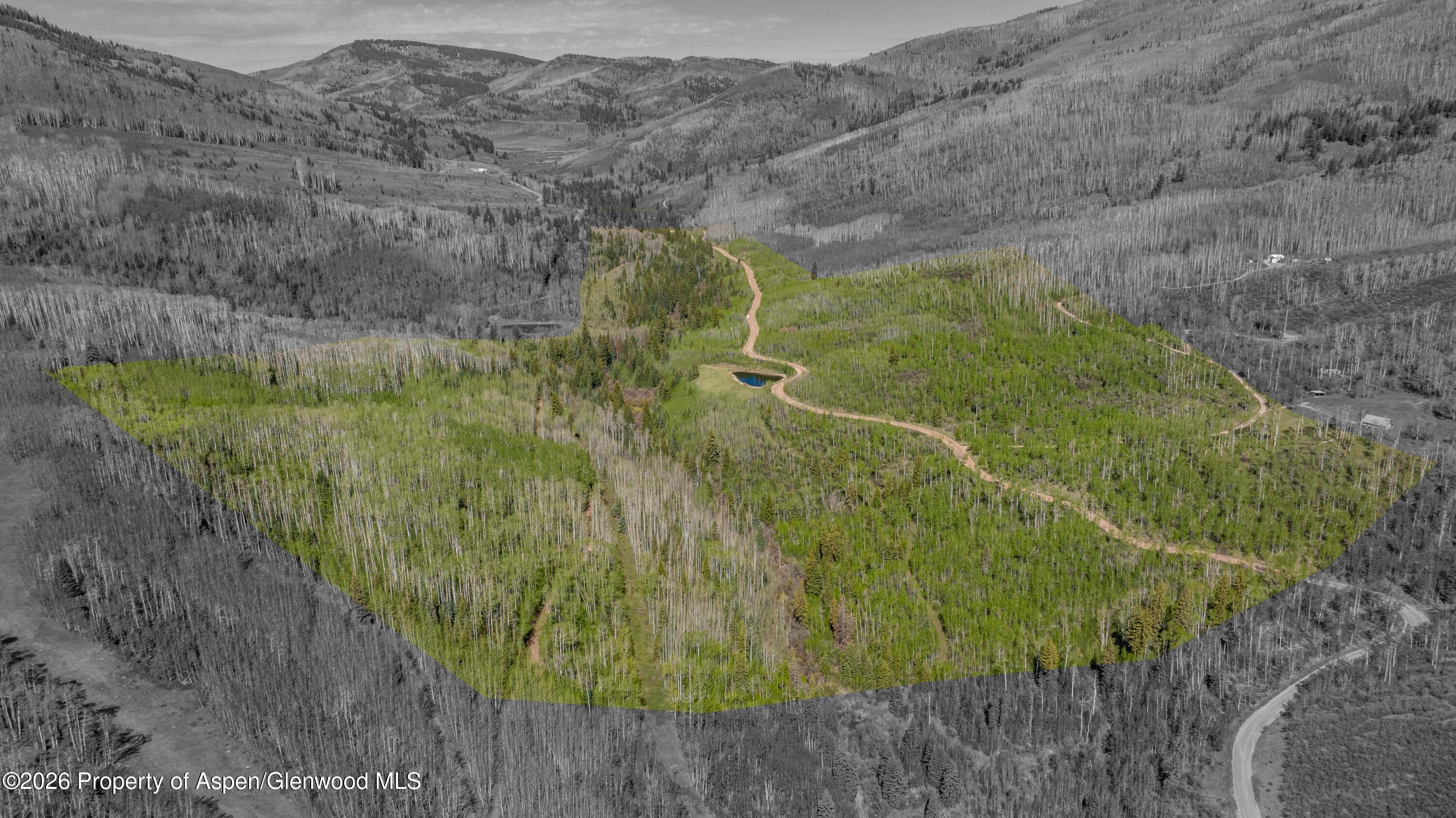 Tbd Forest Service Road 300 Glenwood Springs CO 81601