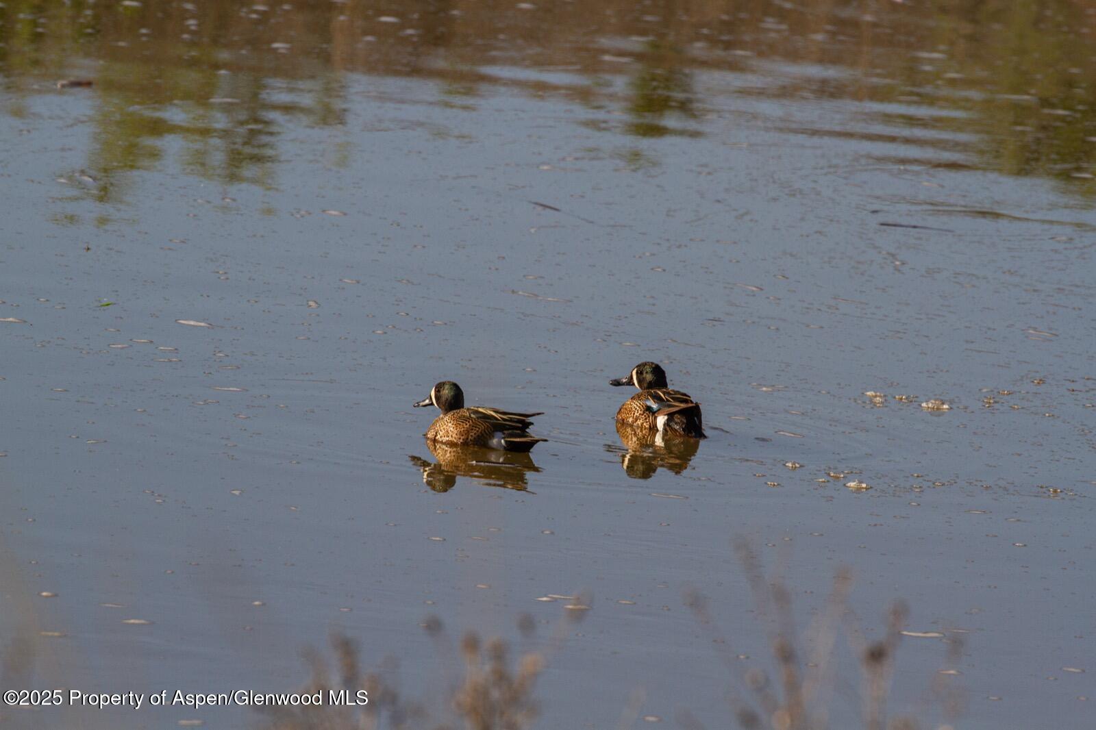 8015 Scenic Mesa Road Hotchkiss CO 81419