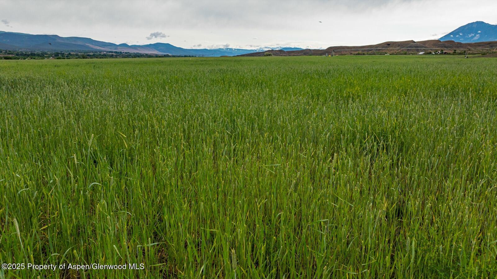 8015 Scenic Mesa Road Hotchkiss CO 81419