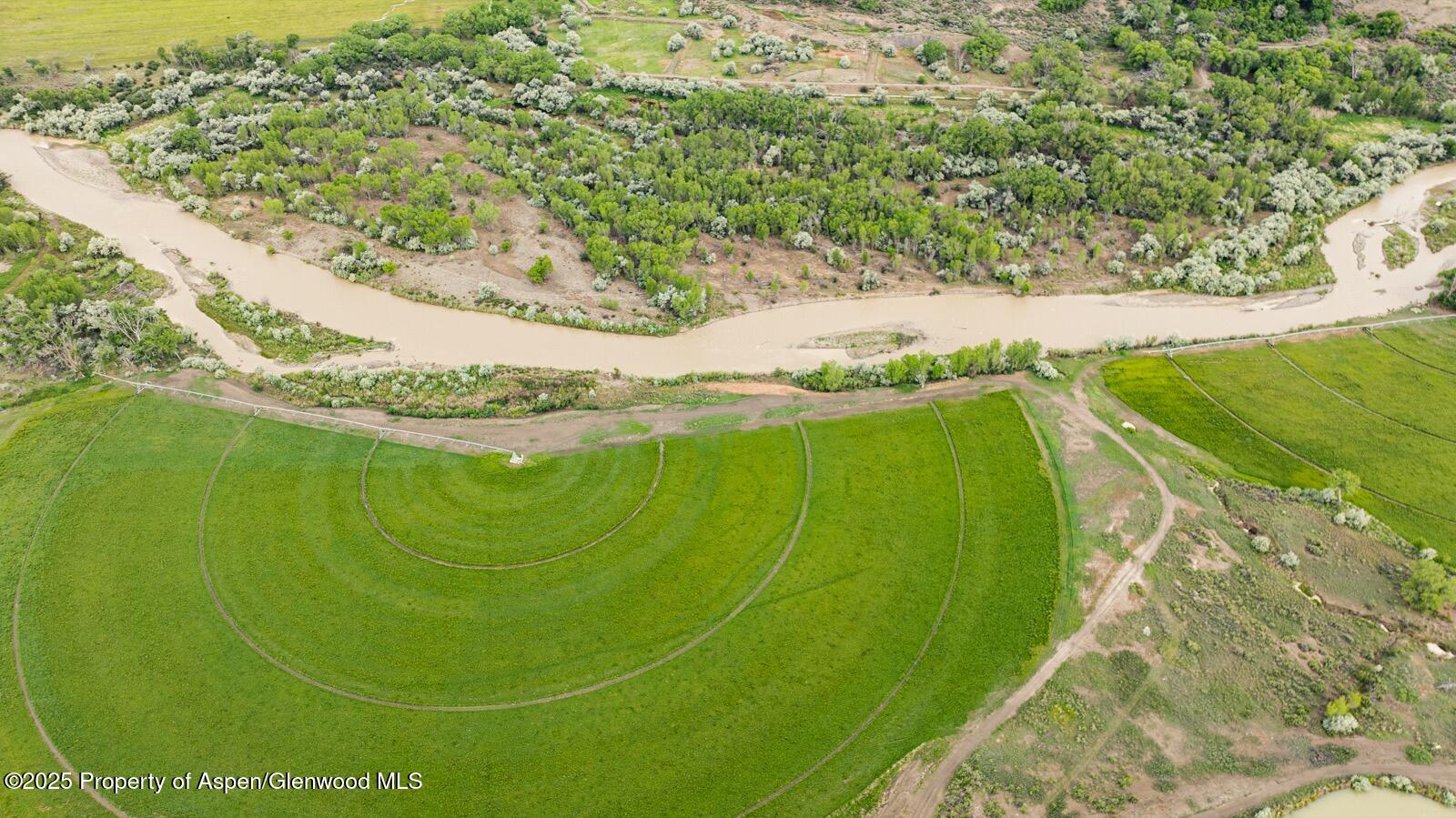 8015 Scenic Mesa Road Hotchkiss CO 81419