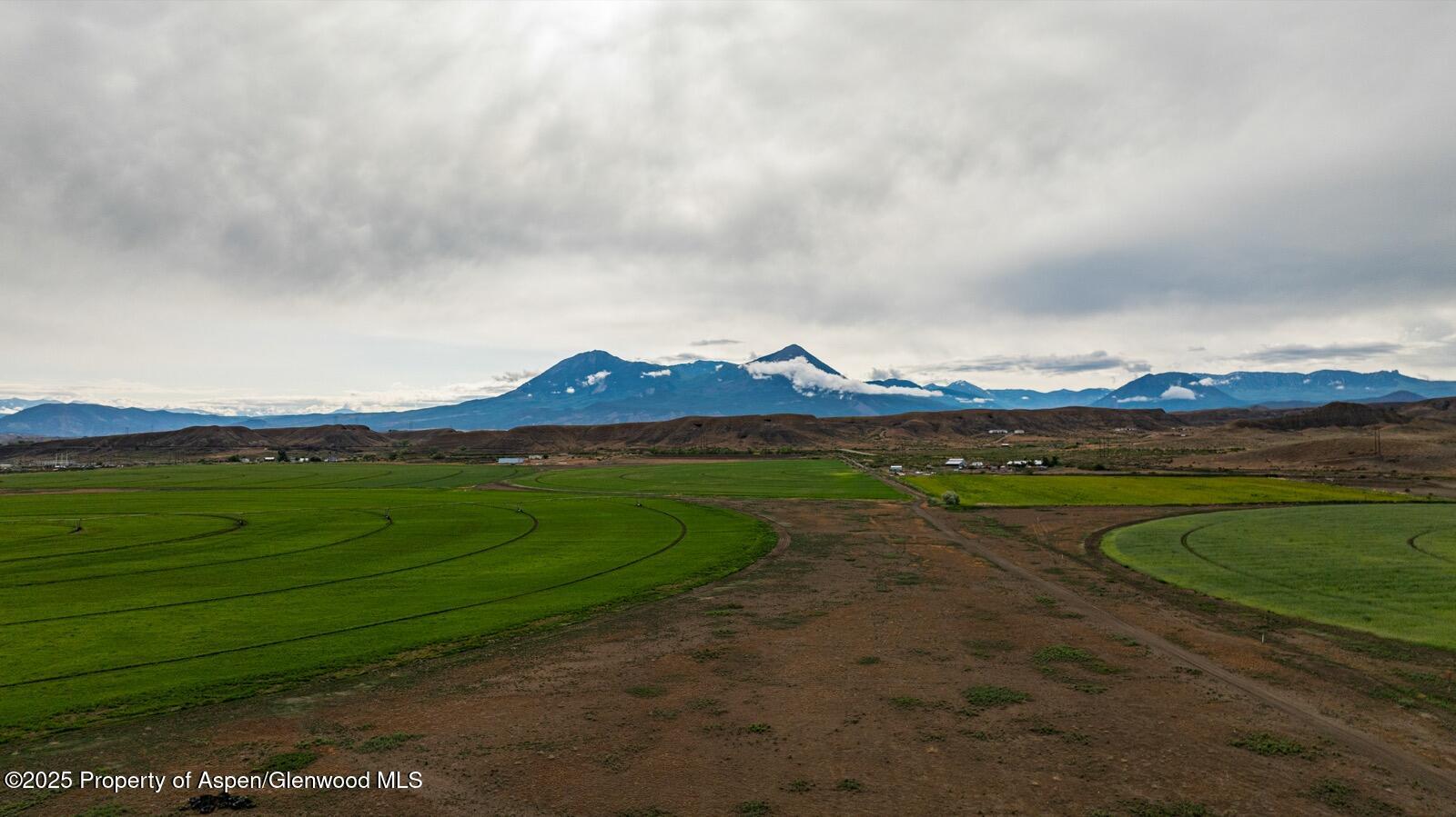 8015 Scenic Mesa Road Hotchkiss CO 81419