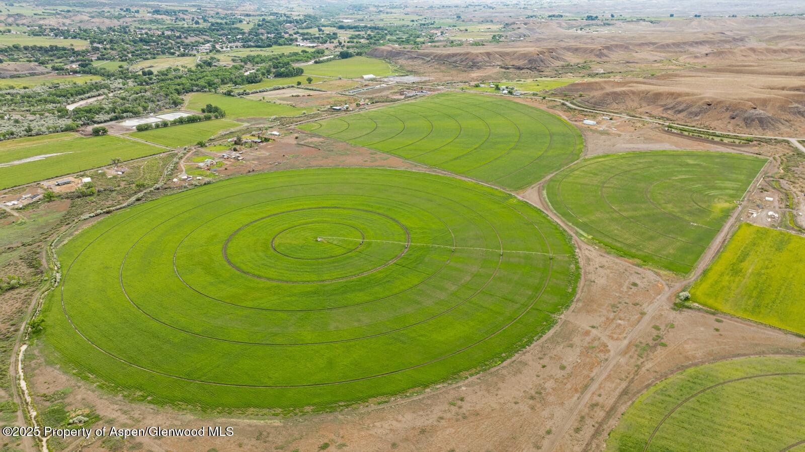 8015 Scenic Mesa Road Hotchkiss CO 81419