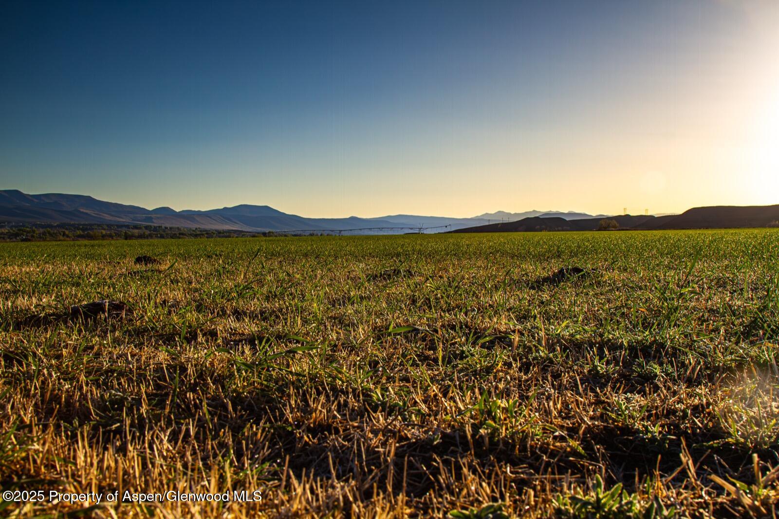 8015 Scenic Mesa Road Hotchkiss CO 81419