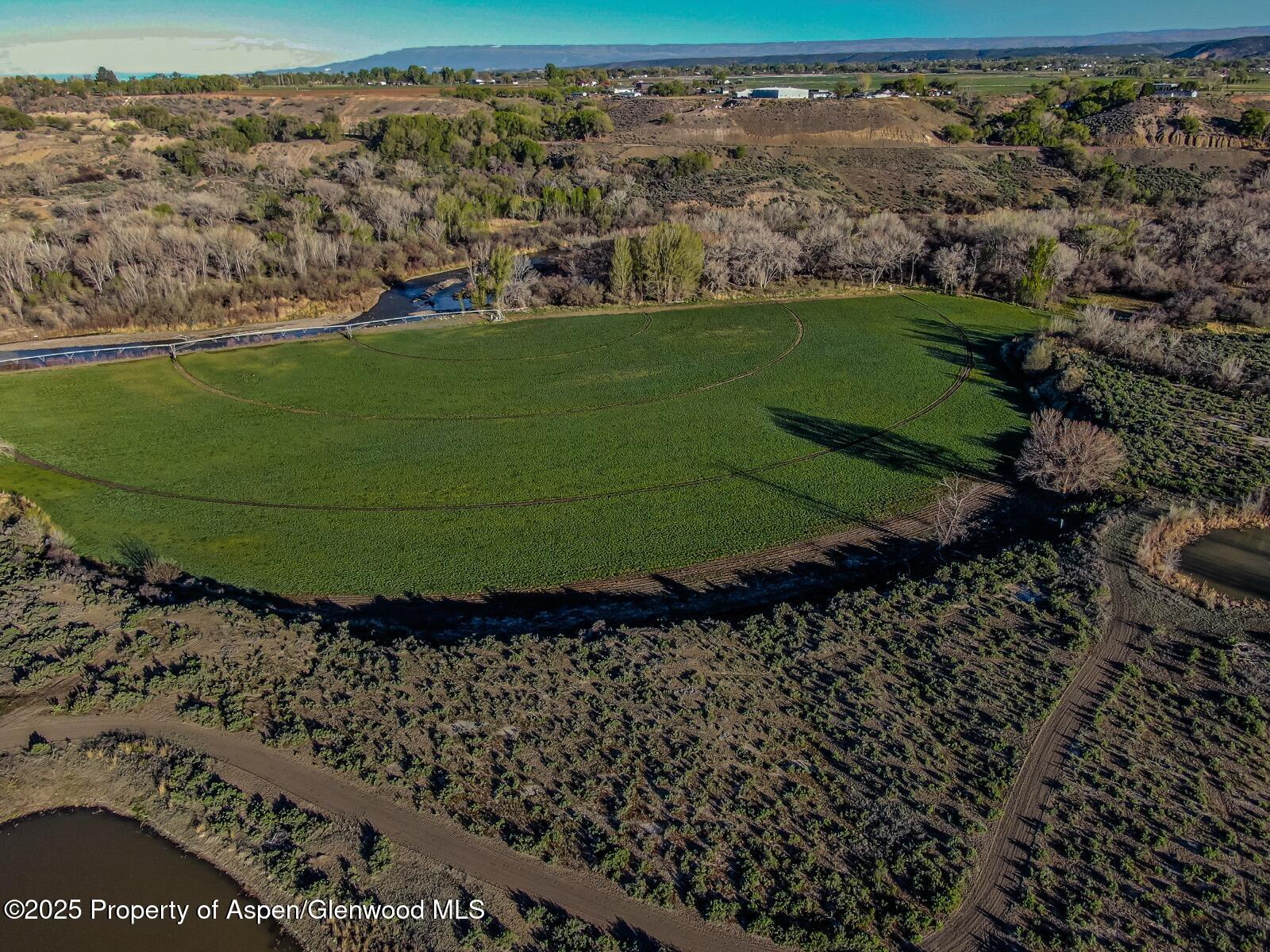 8015 Scenic Mesa Road Hotchkiss CO 81419
