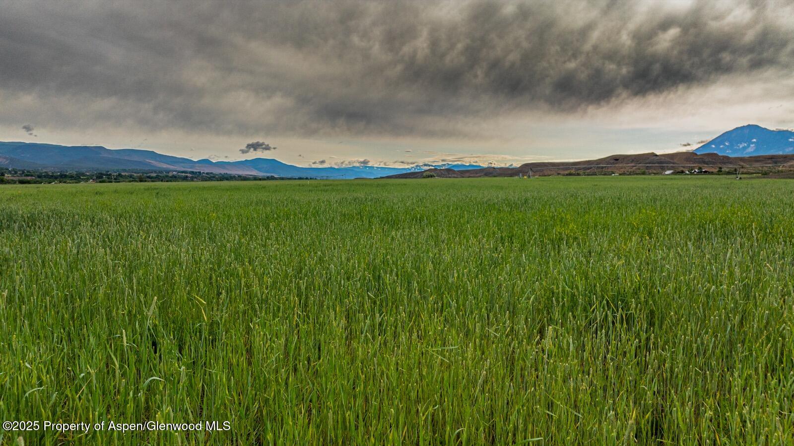 8015 Scenic Mesa Road Hotchkiss CO 81419