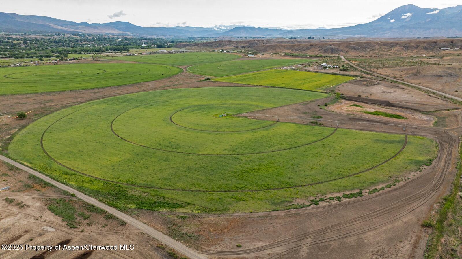 8015 Scenic Mesa Road Hotchkiss CO 81419