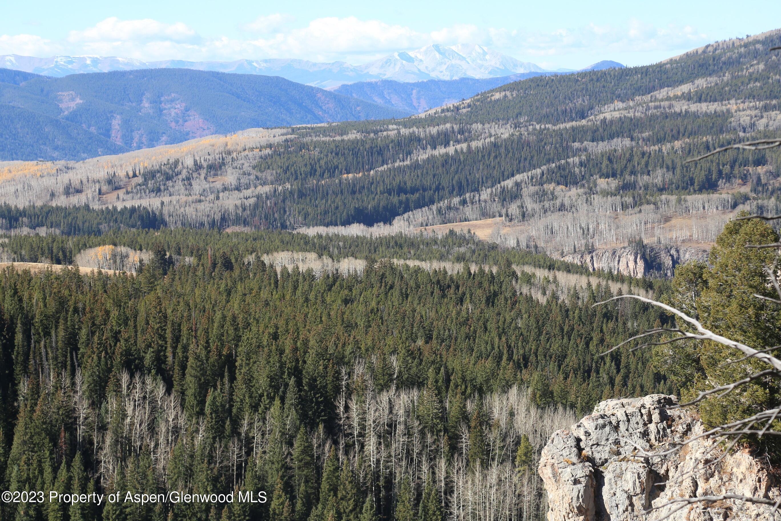 Tbd Woods Lake Area, Basalt Rural Basalt CO 81621