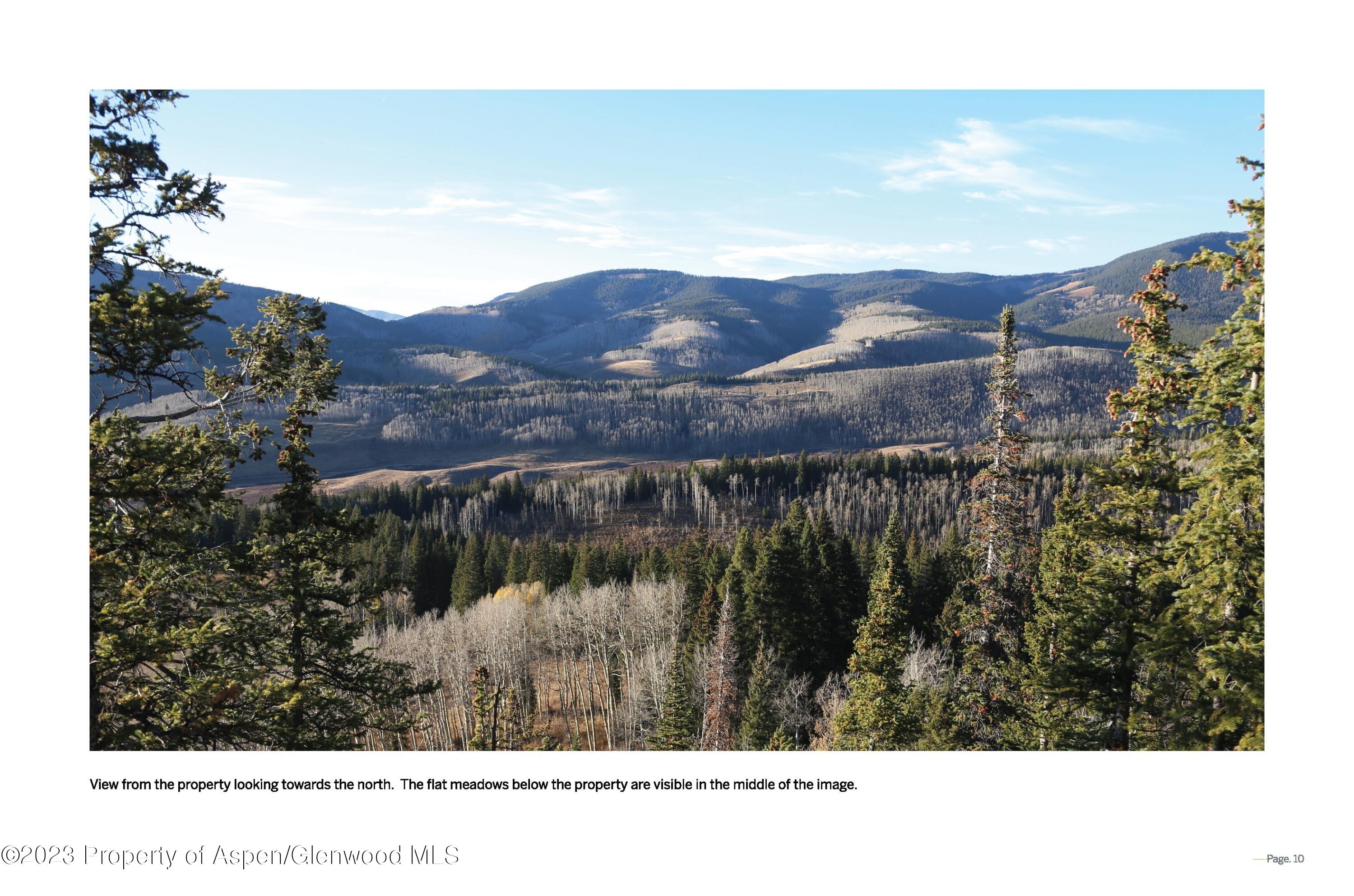 Tbd Woods Lake Area, Basalt Rural Basalt CO 81621