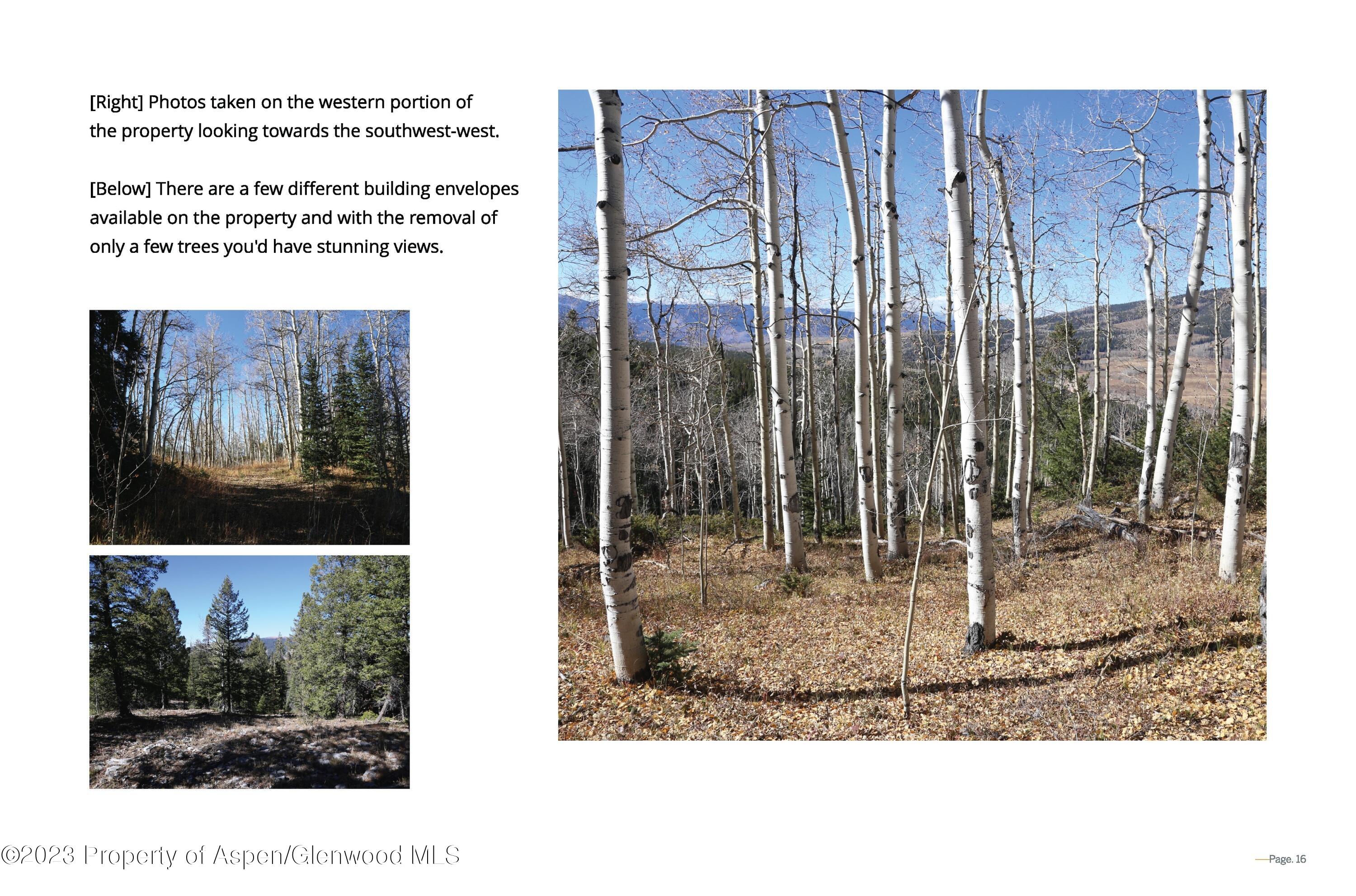 Tbd Woods Lake Area, Basalt Rural Basalt CO 81621