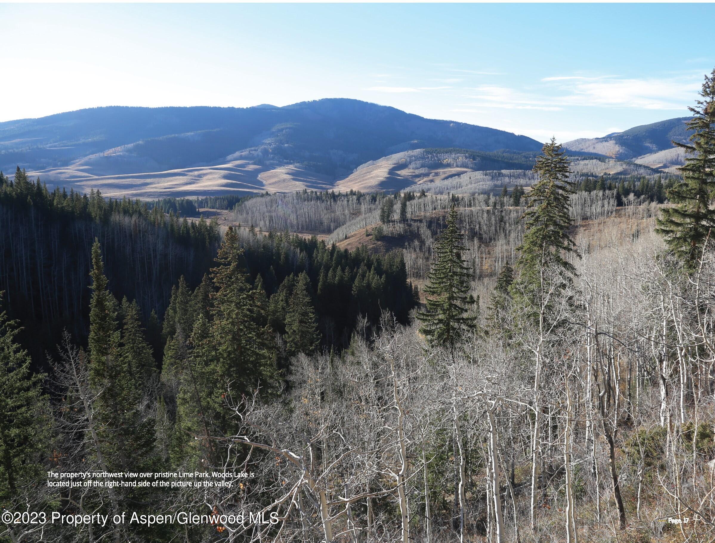 Tbd Woods Lake Area, Basalt Rural Basalt CO 81621