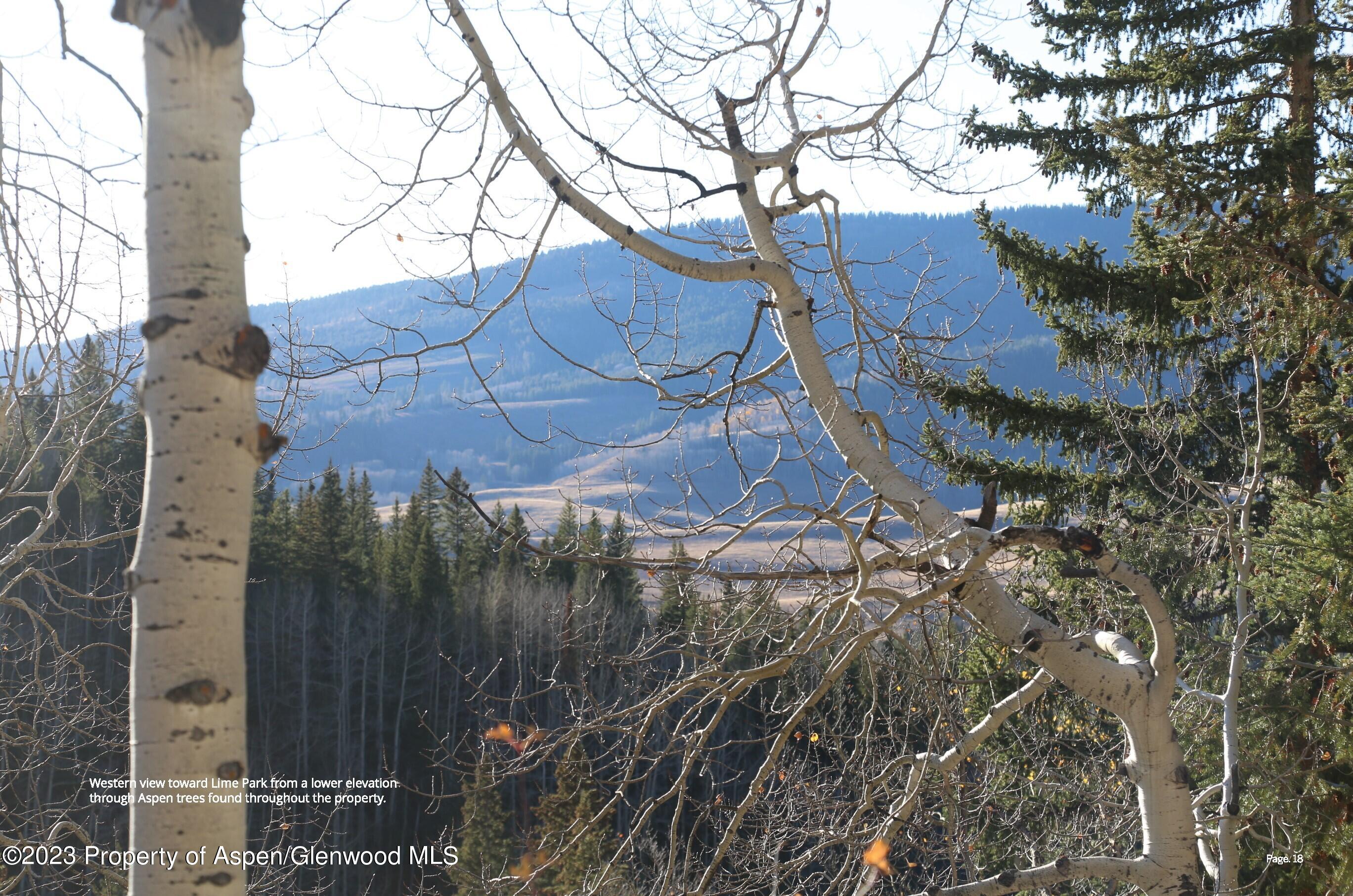 Tbd Woods Lake Area, Basalt Rural Basalt CO 81621