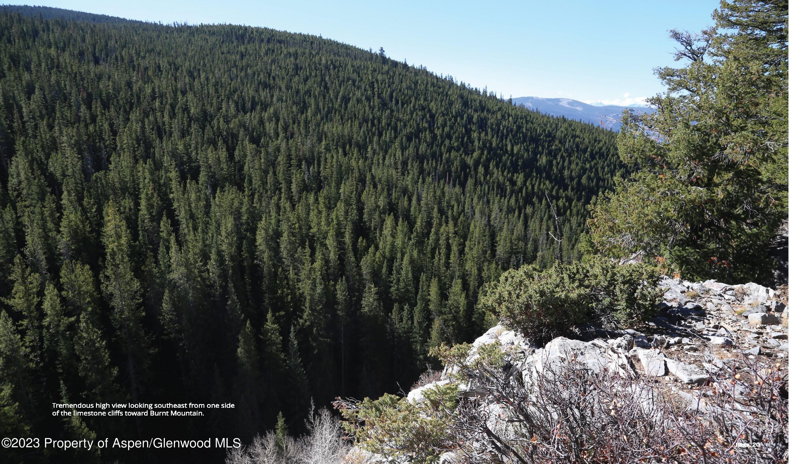 Tbd Woods Lake Area, Basalt Rural Basalt CO 81621