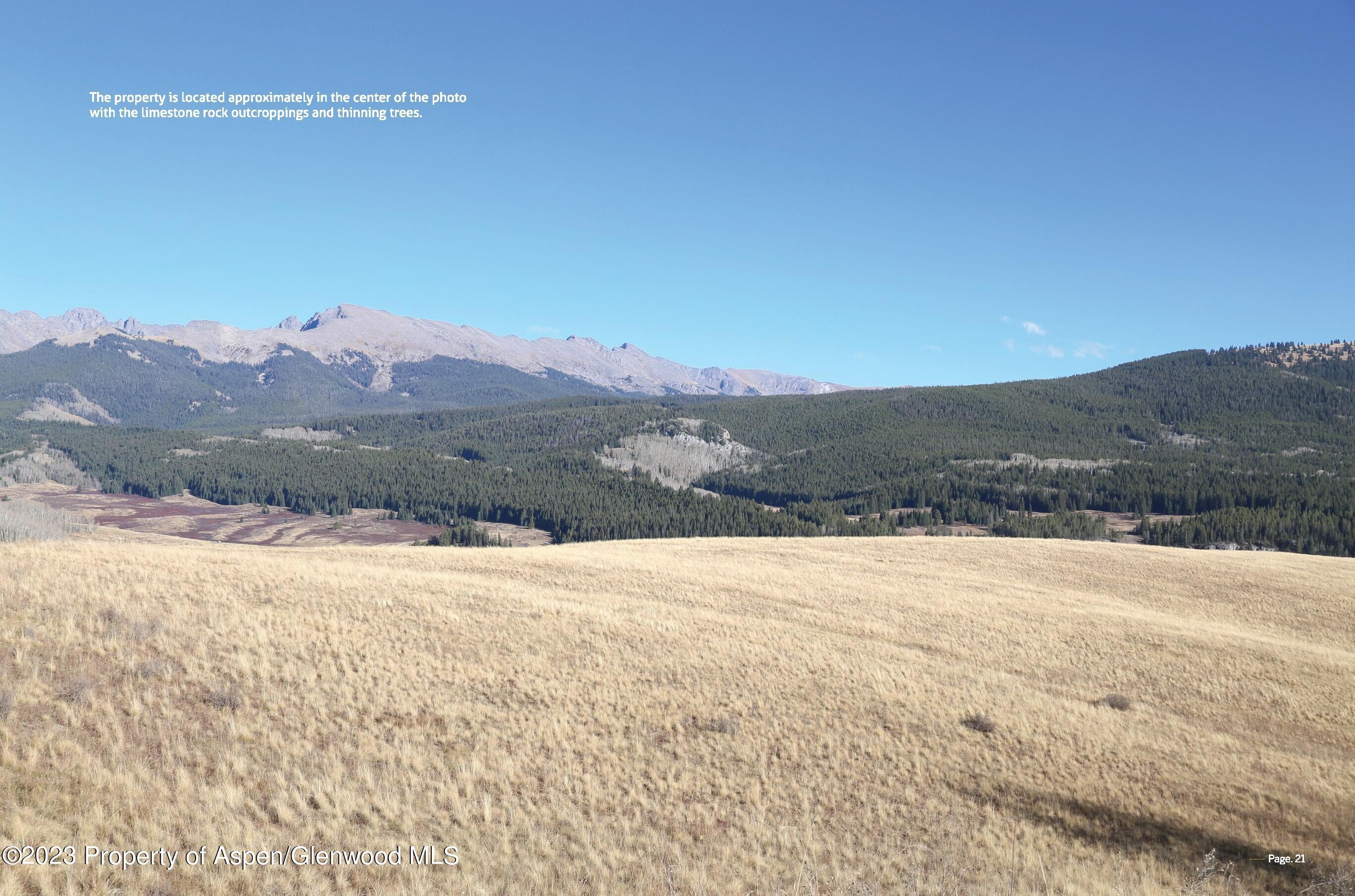 Tbd Woods Lake Area, Basalt Rural Basalt CO 81621