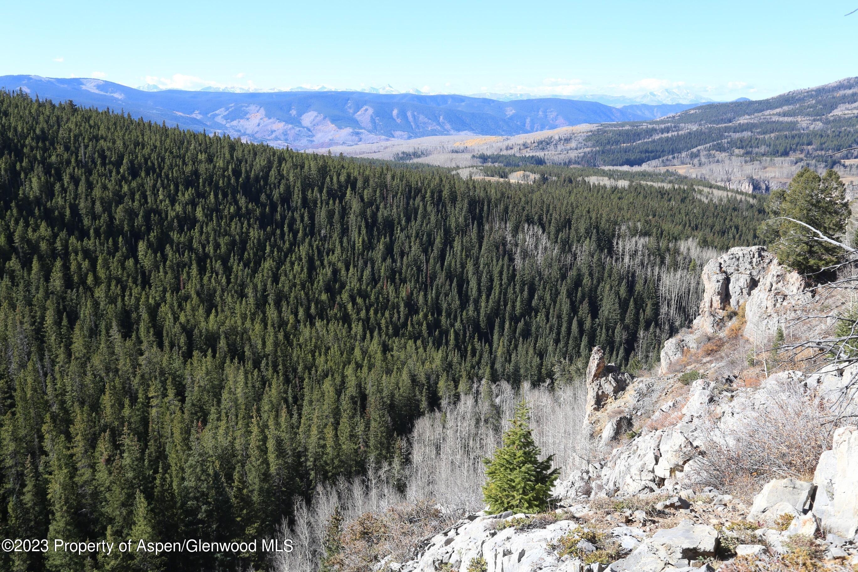 Tbd Woods Lake Area, Basalt Rural Basalt CO 81621