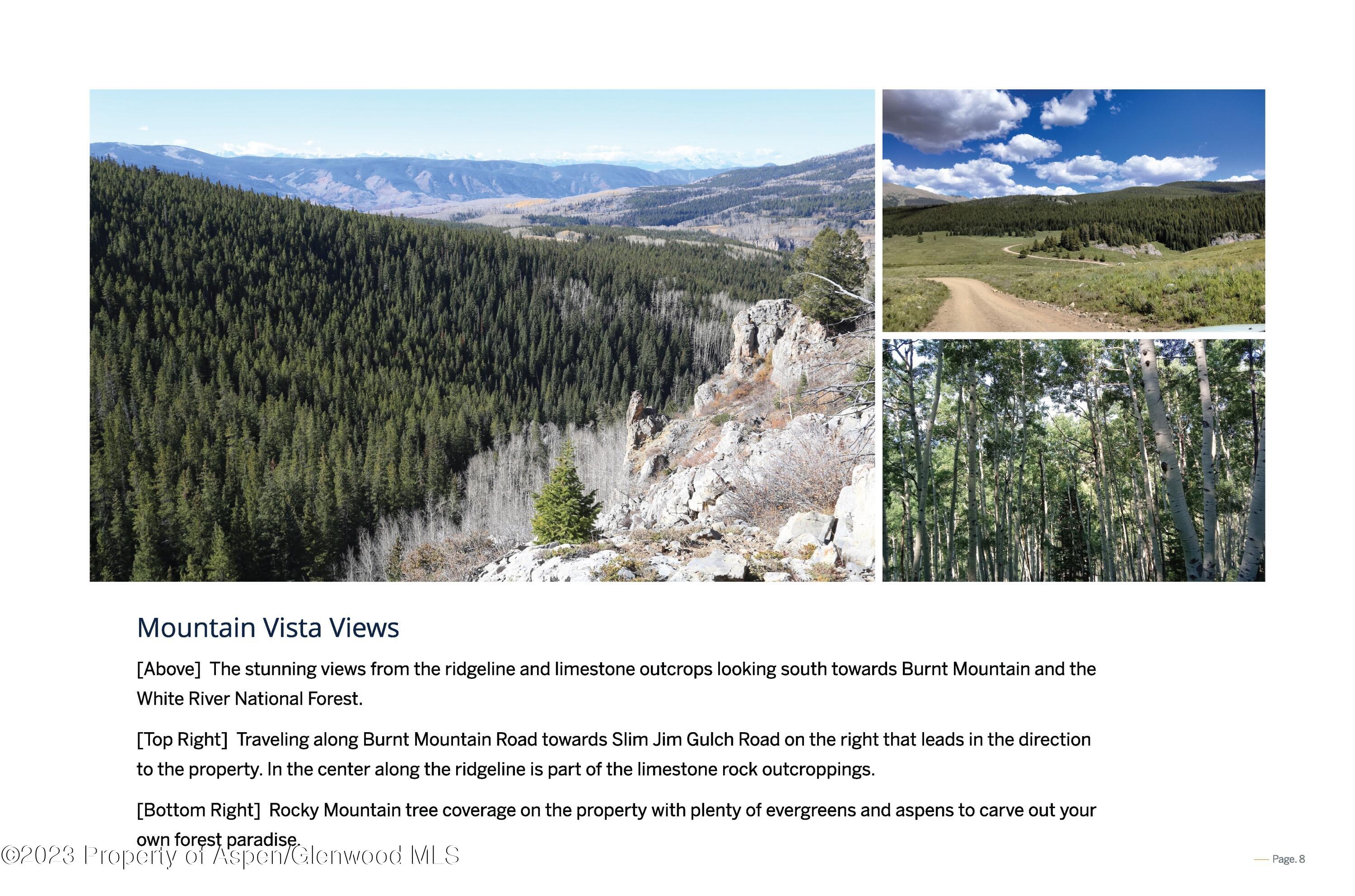 Tbd Woods Lake Area, Basalt Rural Basalt CO 81621