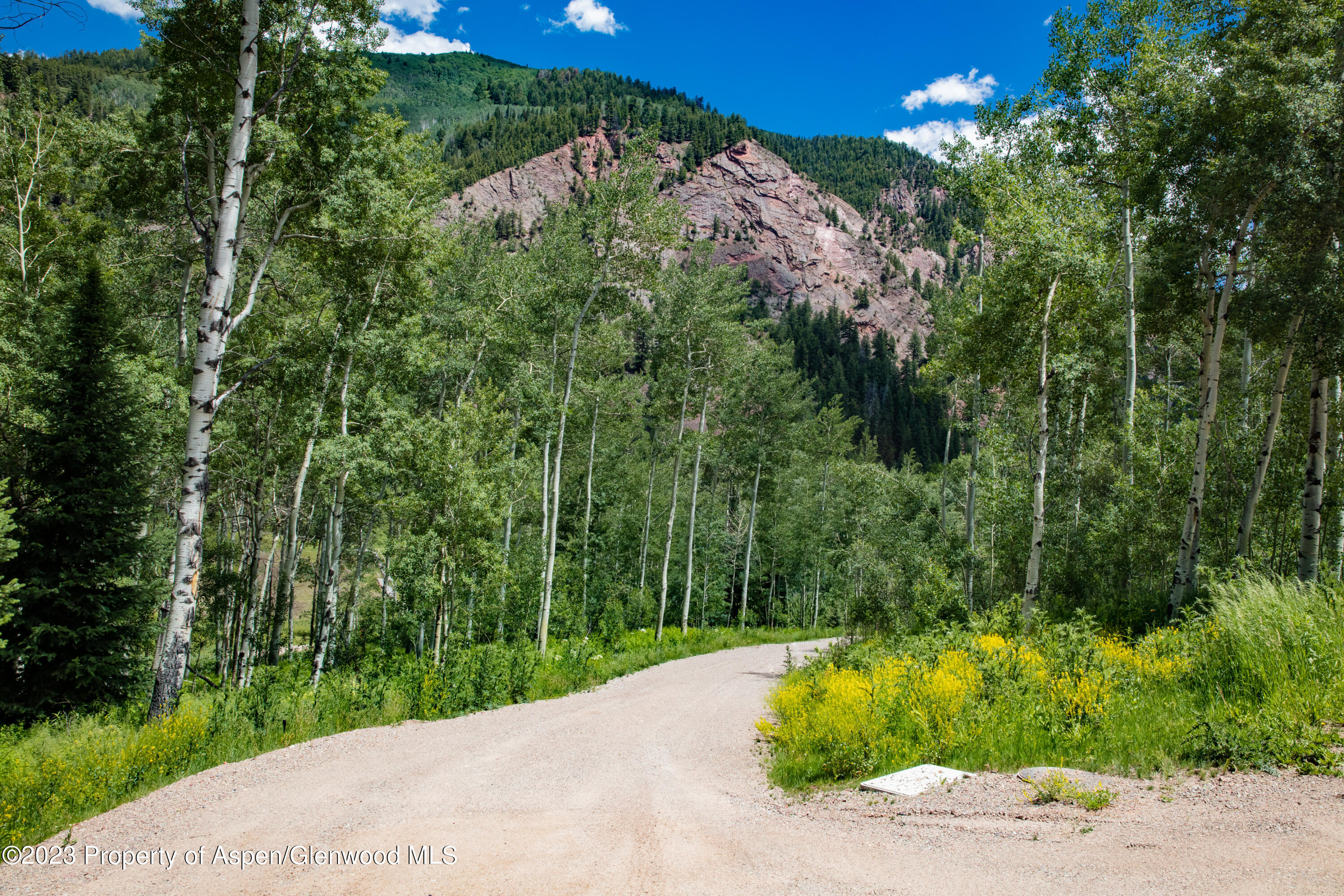 640 S Hayden Road Aspen CO 81611