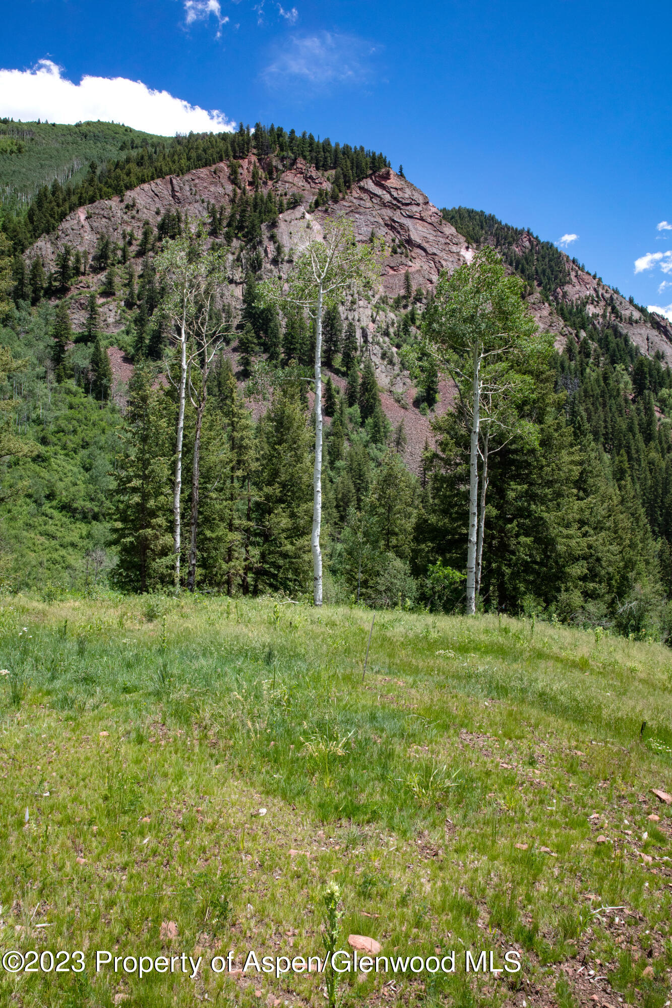 640 S Hayden Road Aspen CO 81611