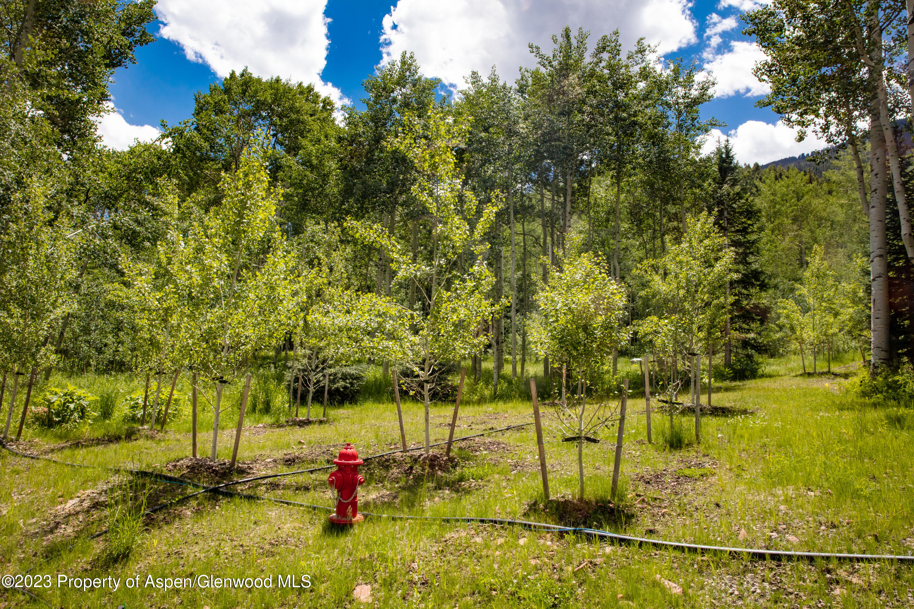 640 S Hayden Road Aspen CO 81611