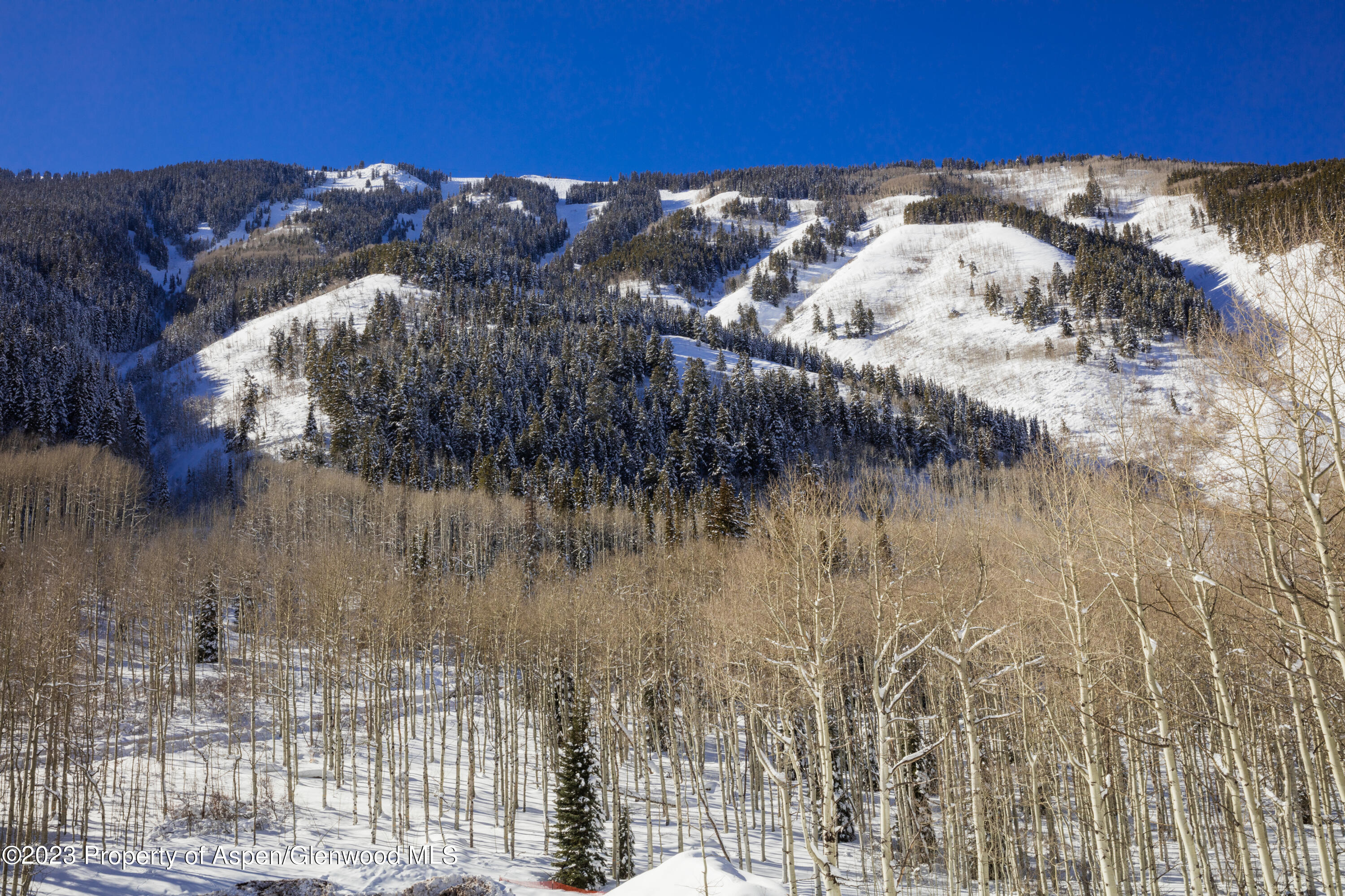 640 S Hayden Road Aspen CO 81611
