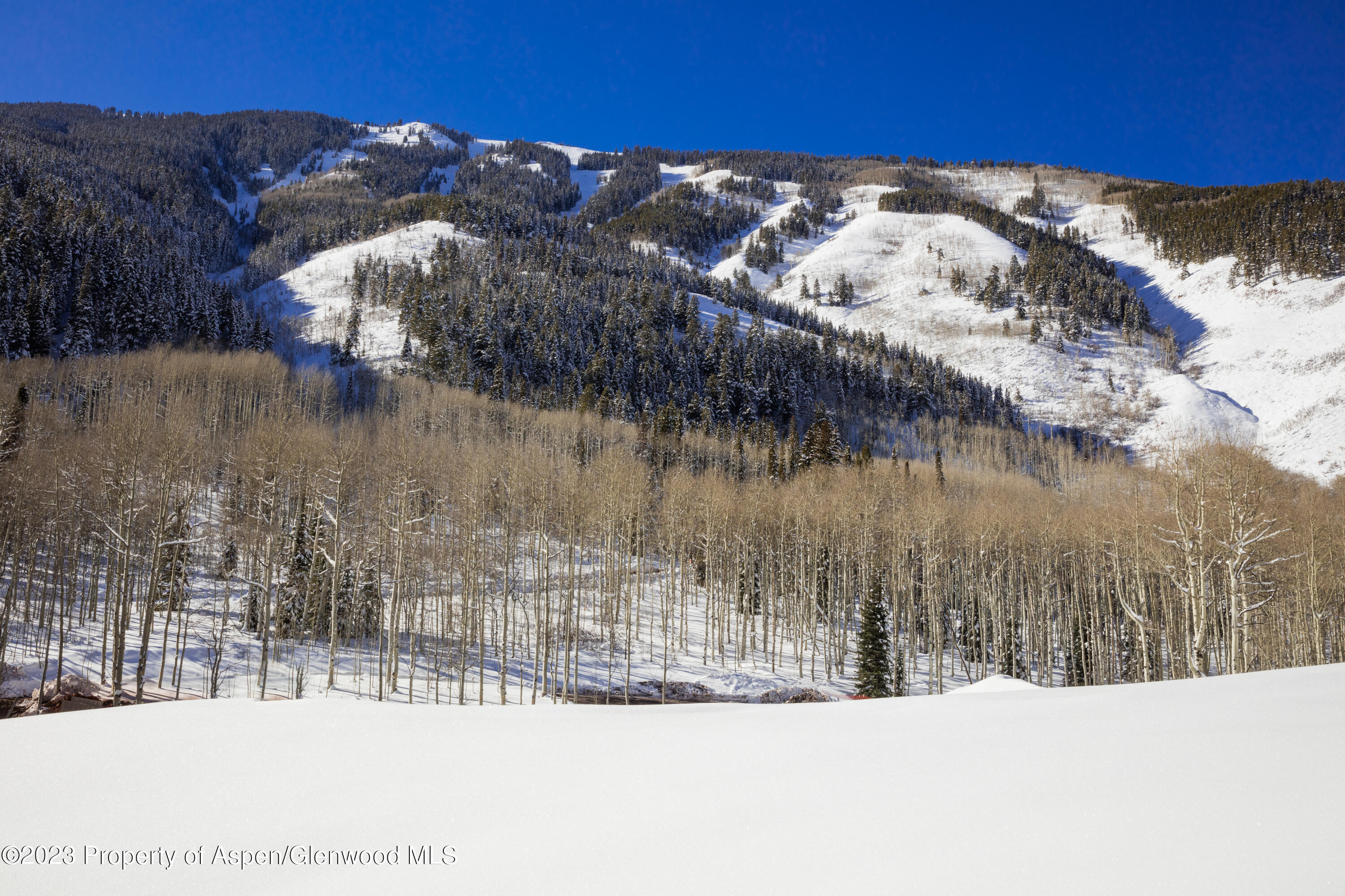 640 S Hayden Road Aspen CO 81611