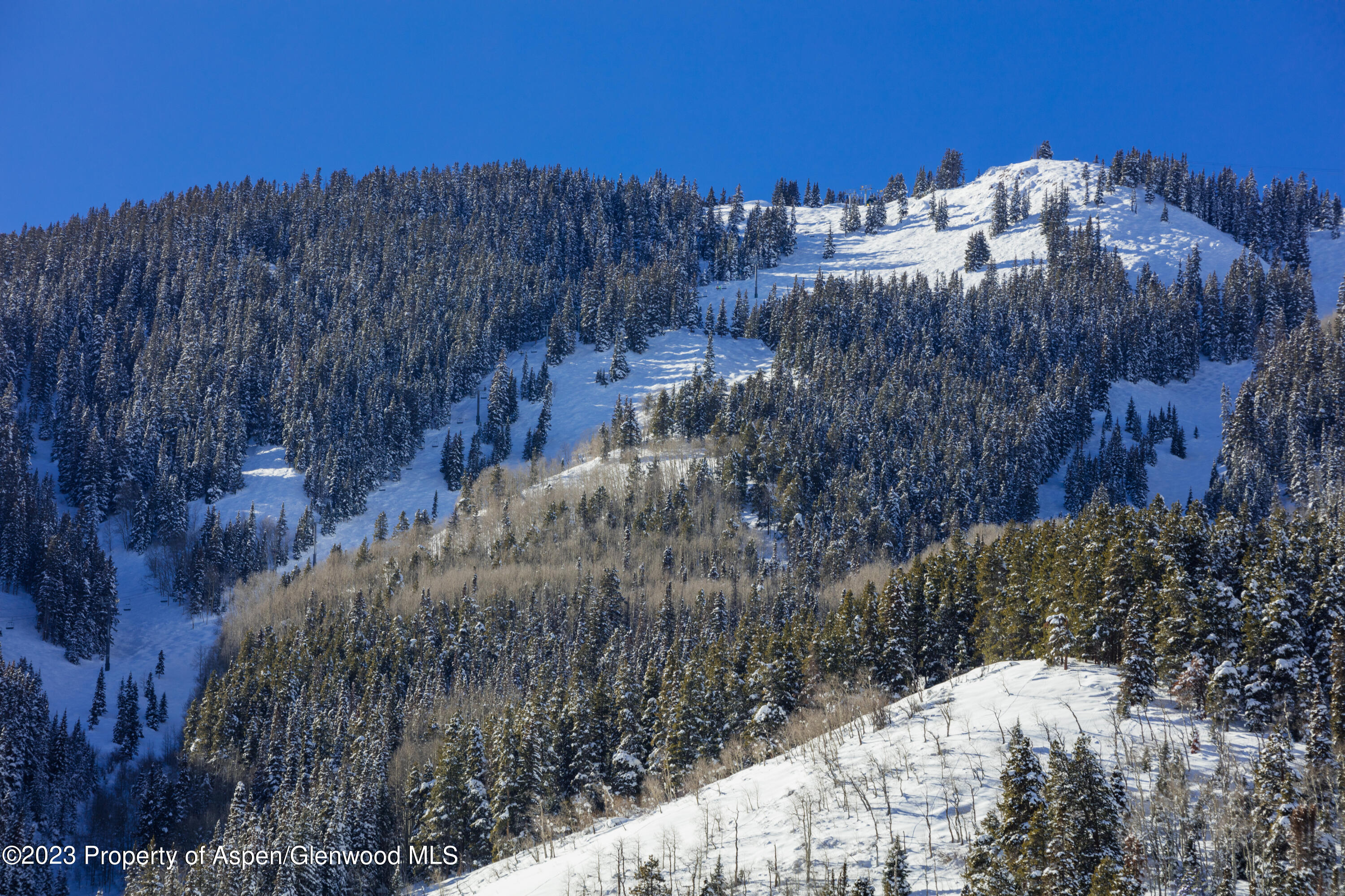 640 S Hayden Road Aspen CO 81611