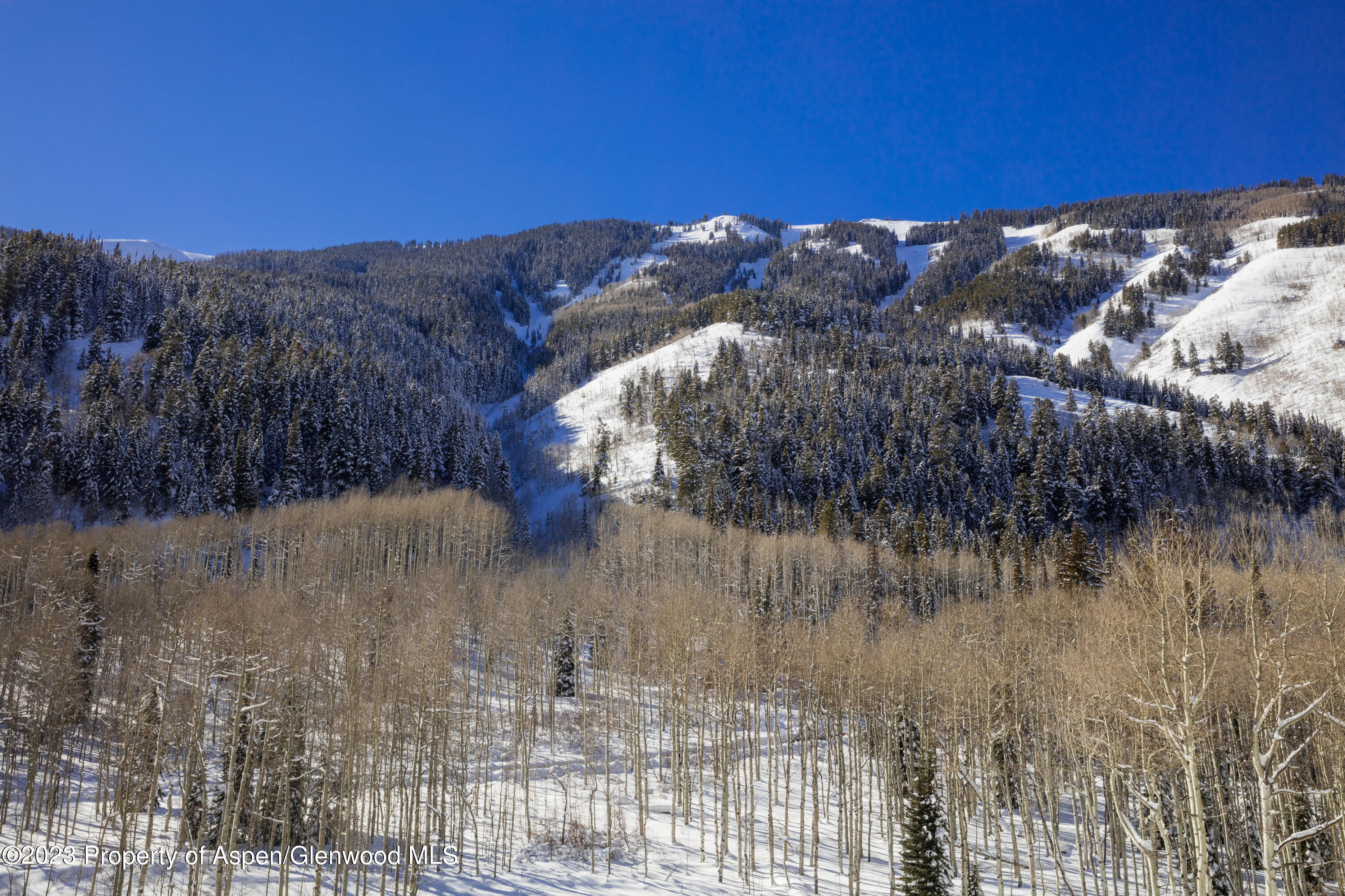 640 S Hayden Road Aspen CO 81611
