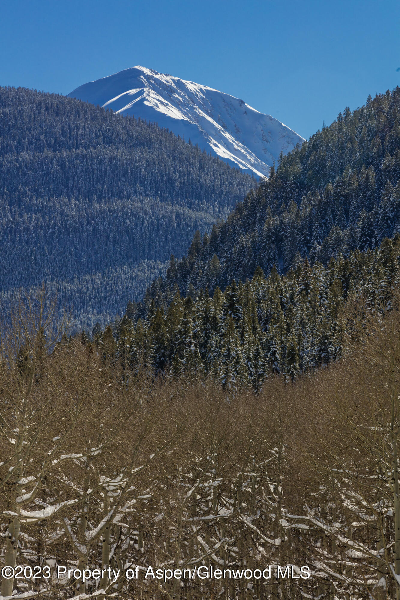 640 S Hayden Road Aspen CO 81611