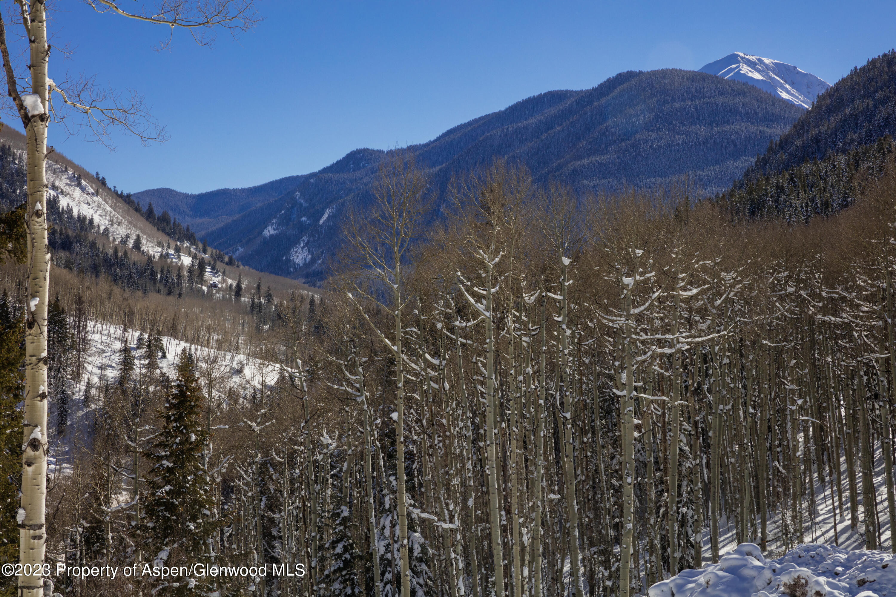 640 S Hayden Road Aspen CO 81611