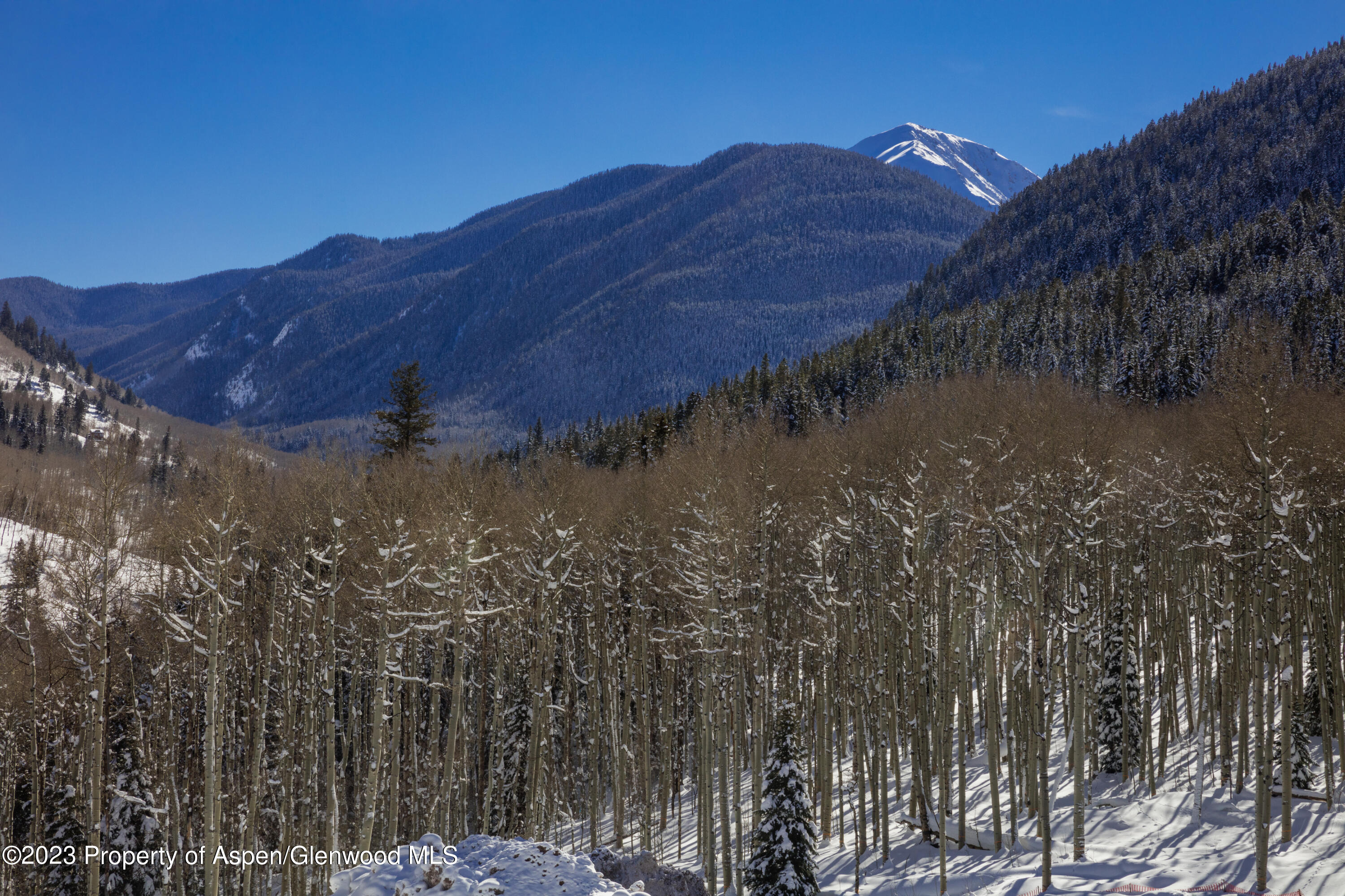640 S Hayden Road Aspen CO 81611