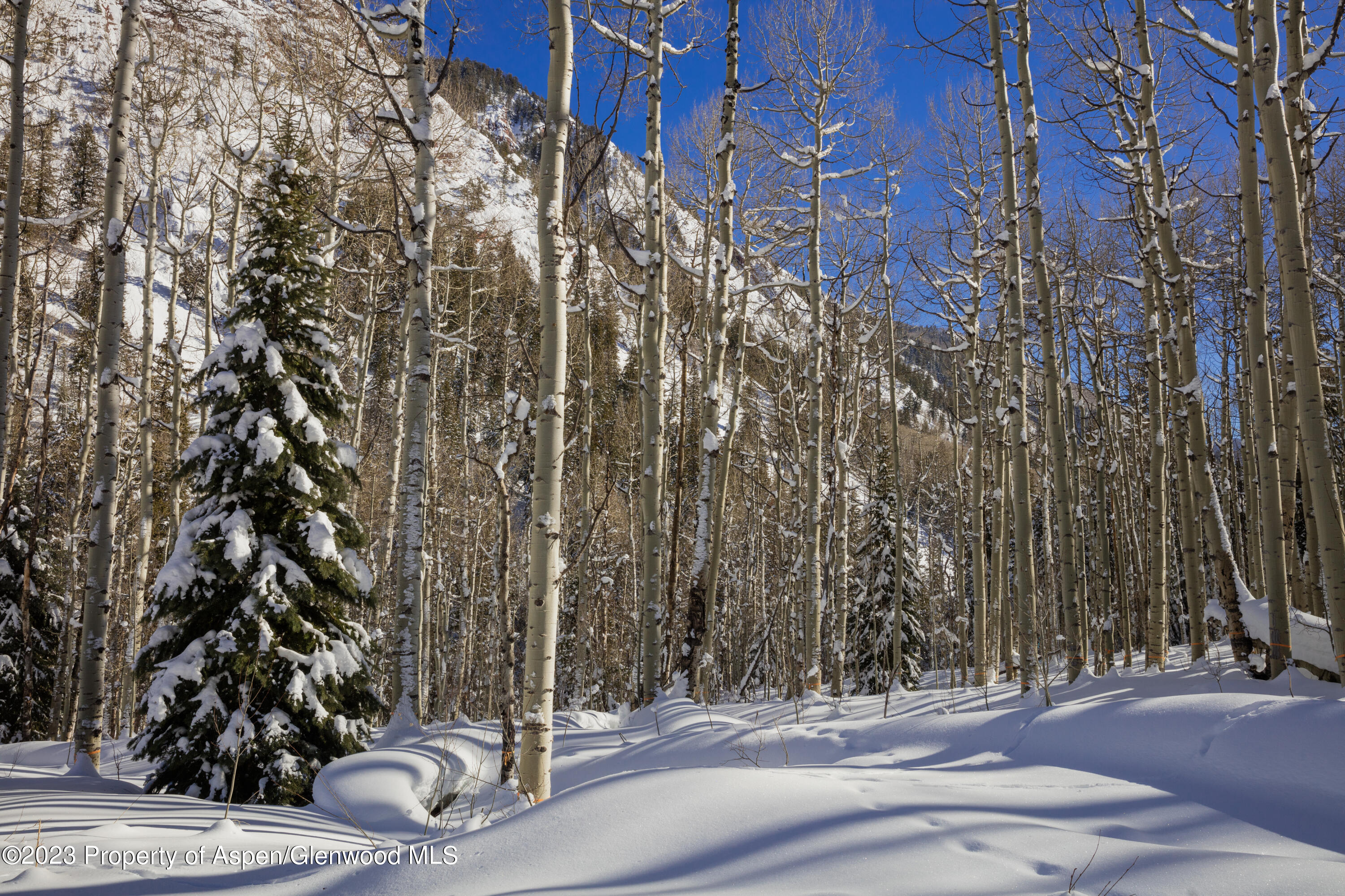640 S Hayden Road Aspen CO 81611