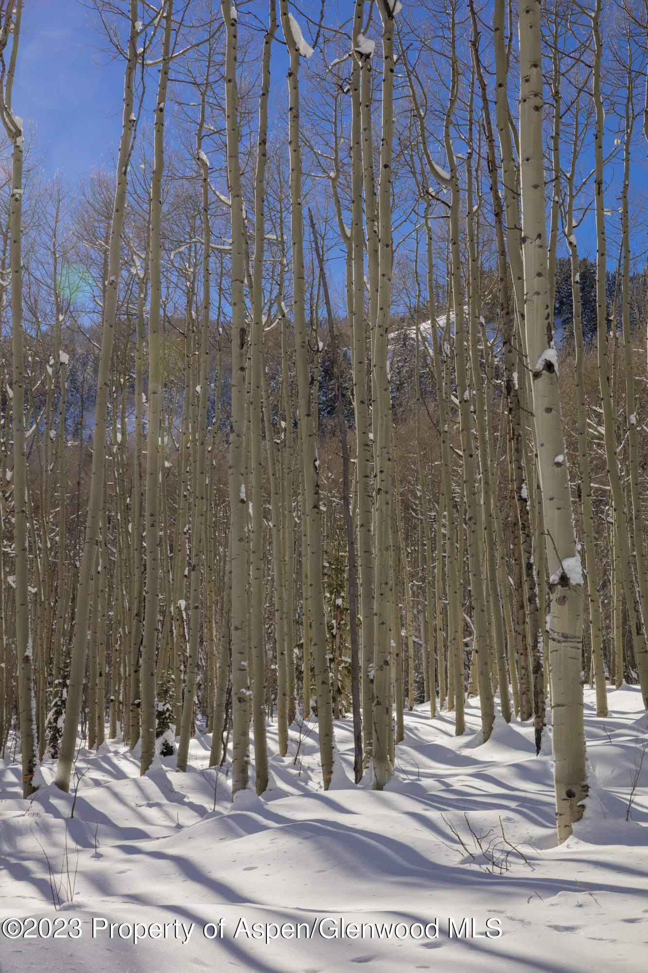 640 S Hayden Road Aspen CO 81611