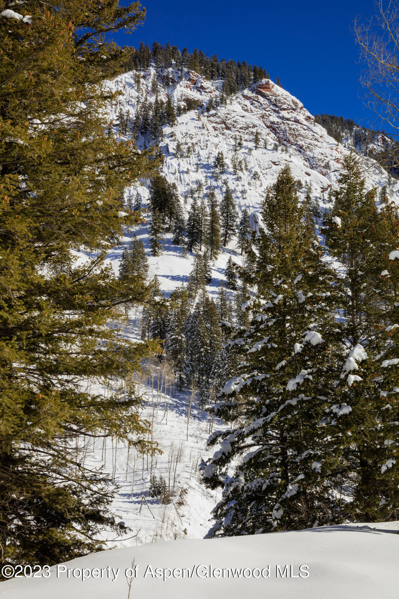 640 S Hayden Road Aspen CO 81611