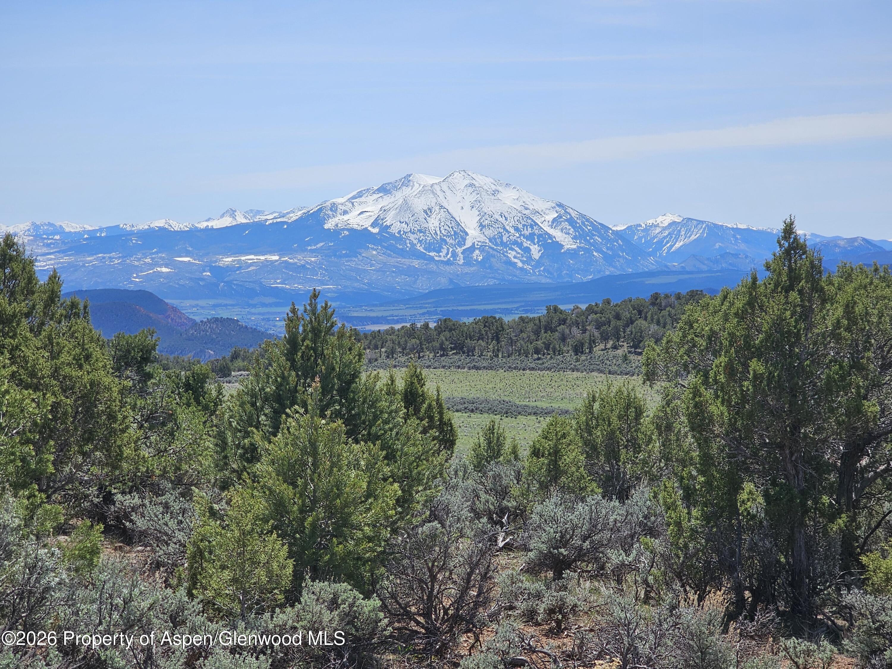 3504 Elk Springs Drive Glenwood Springs CO 81601