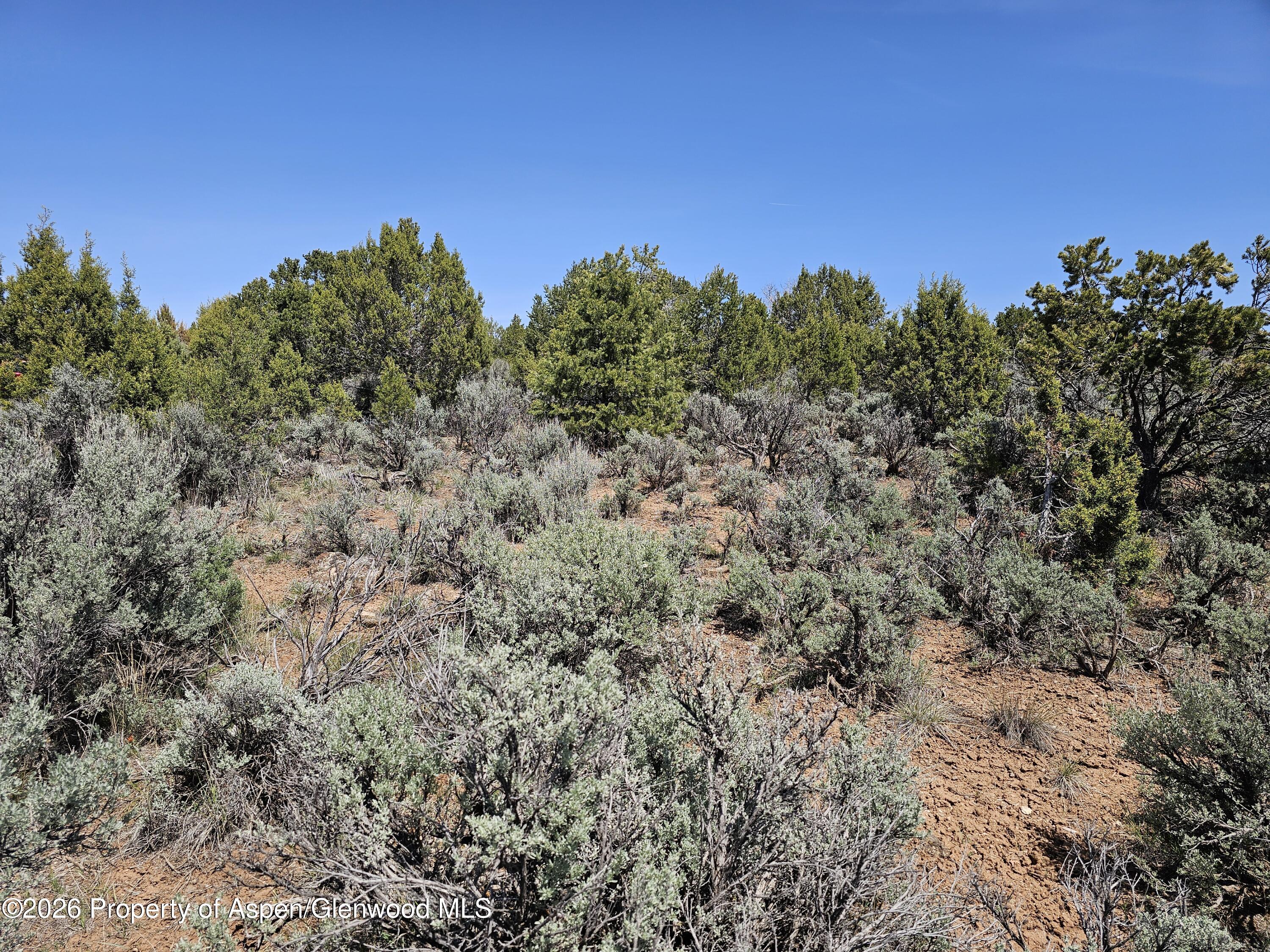 3504 Elk Springs Drive Glenwood Springs CO 81601