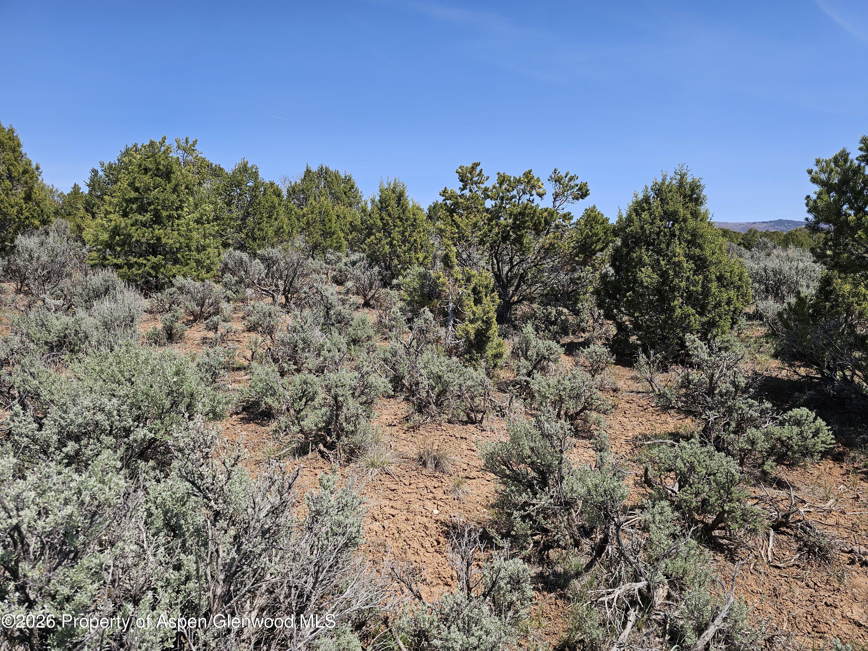 3504 Elk Springs Drive Glenwood Springs CO 81601