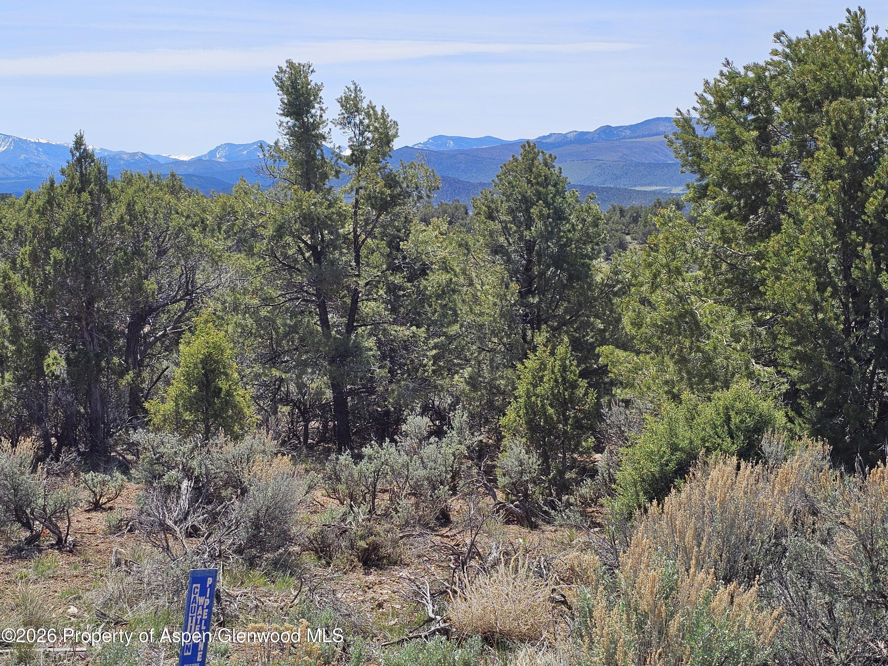 3504 Elk Springs Drive Glenwood Springs CO 81601