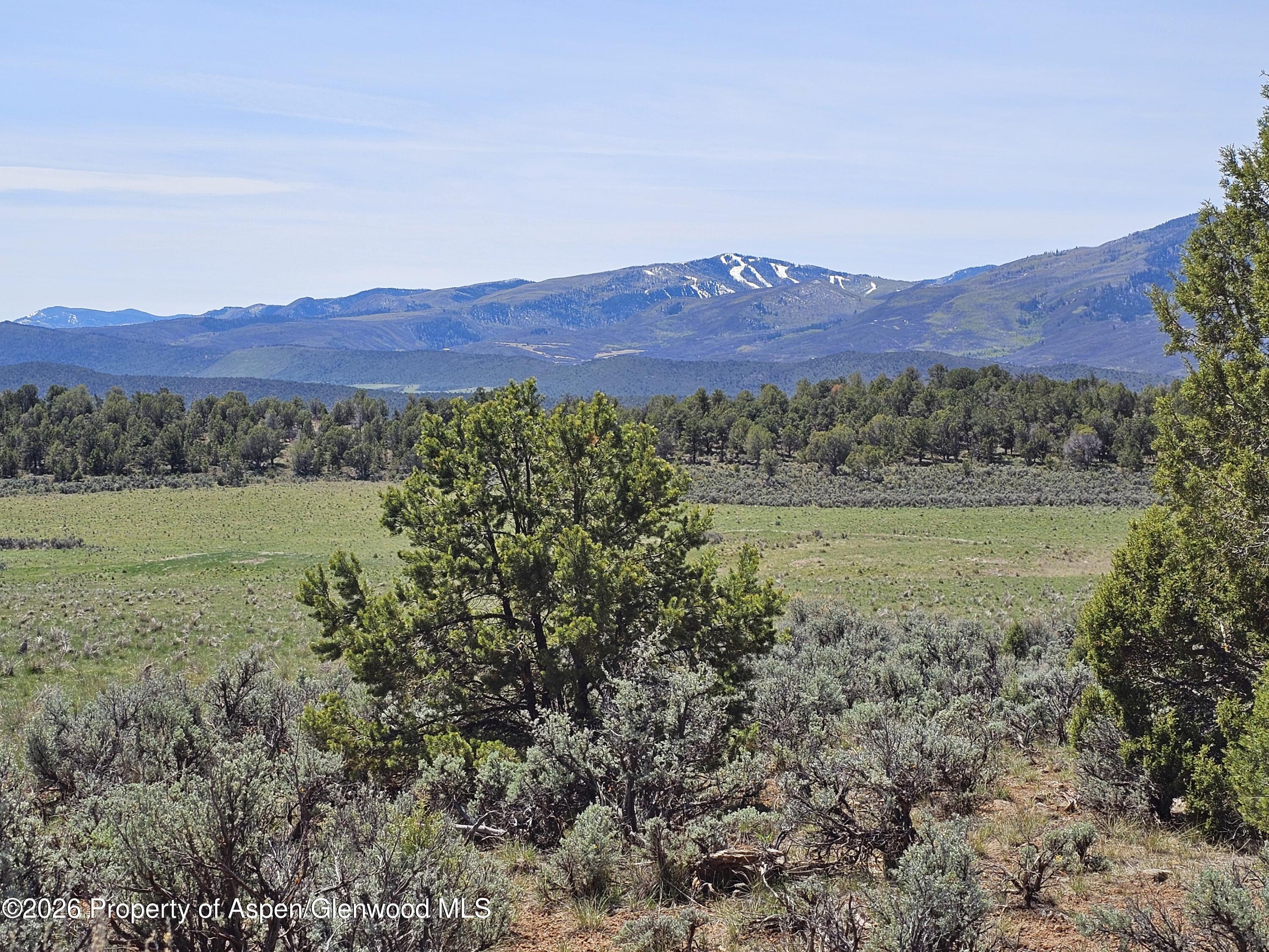 3504 Elk Springs Drive Glenwood Springs CO 81601