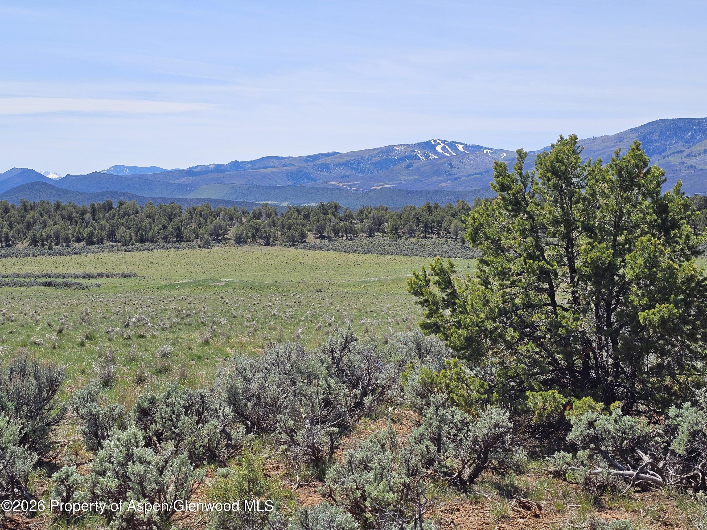 3504 Elk Springs Drive Glenwood Springs CO 81601