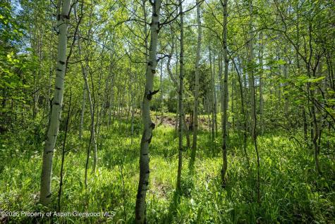 1265 Riverside Drive Aspen CO 81611