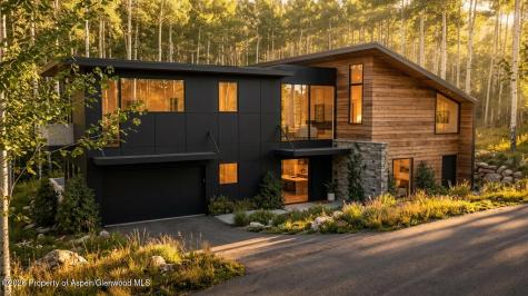 1265 Riverside Drive Aspen CO 81611