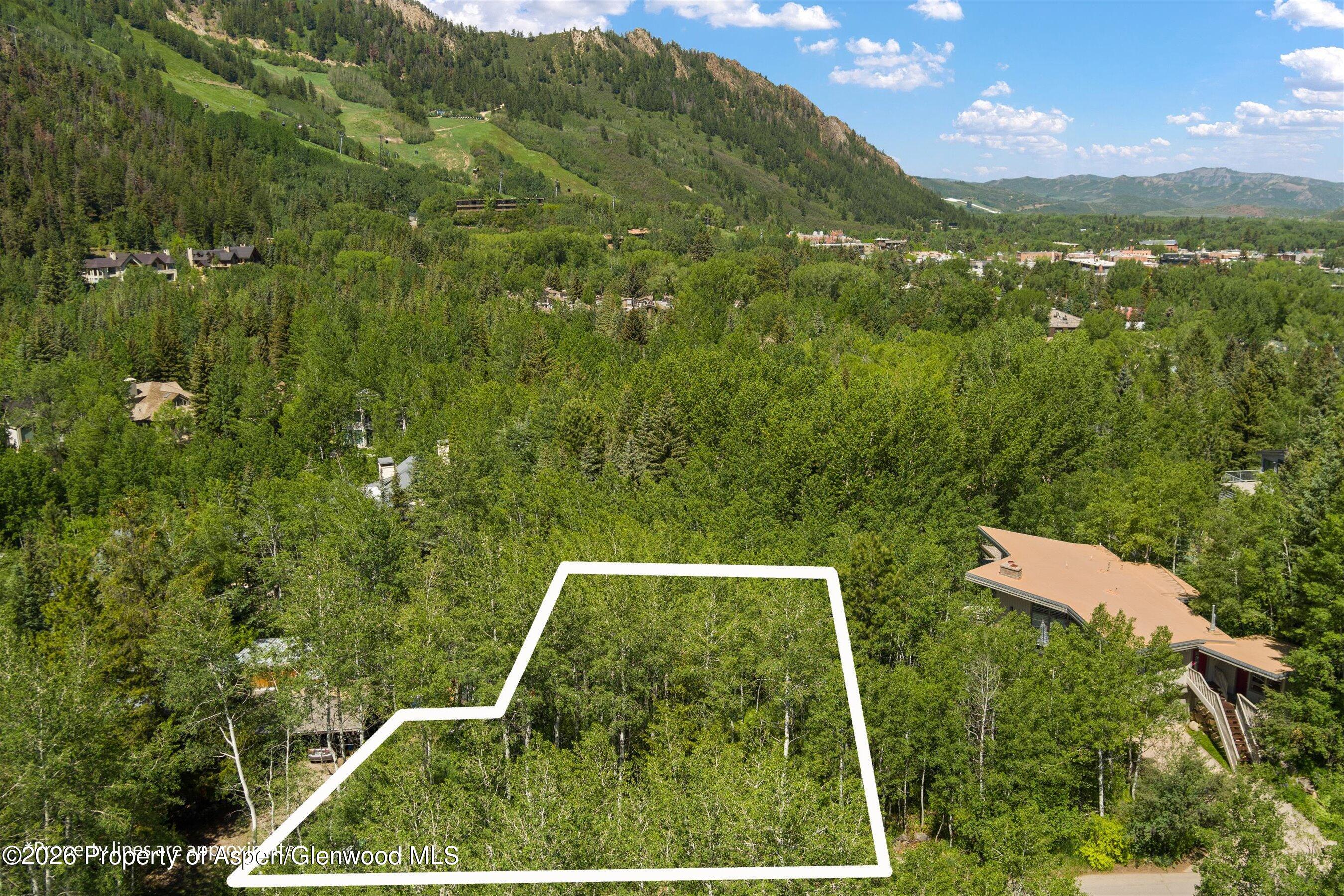 1265 Riverside Drive Aspen CO 81611