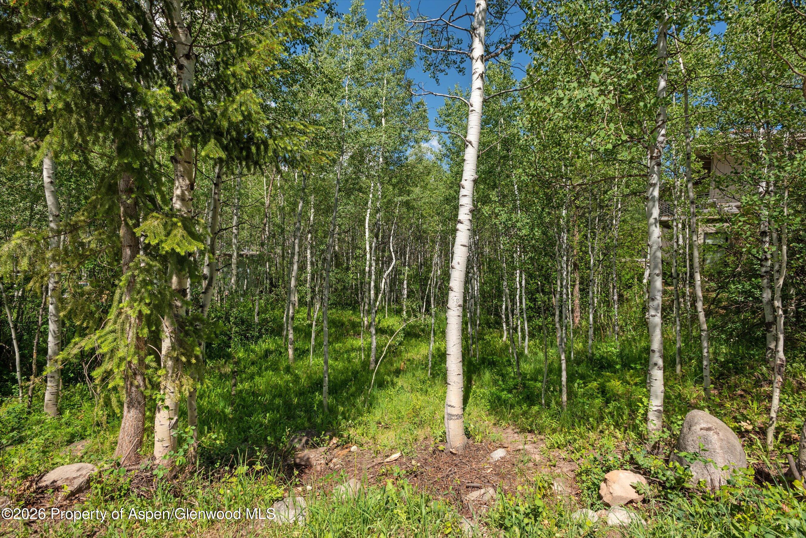 1265 Riverside Drive Aspen CO 81611