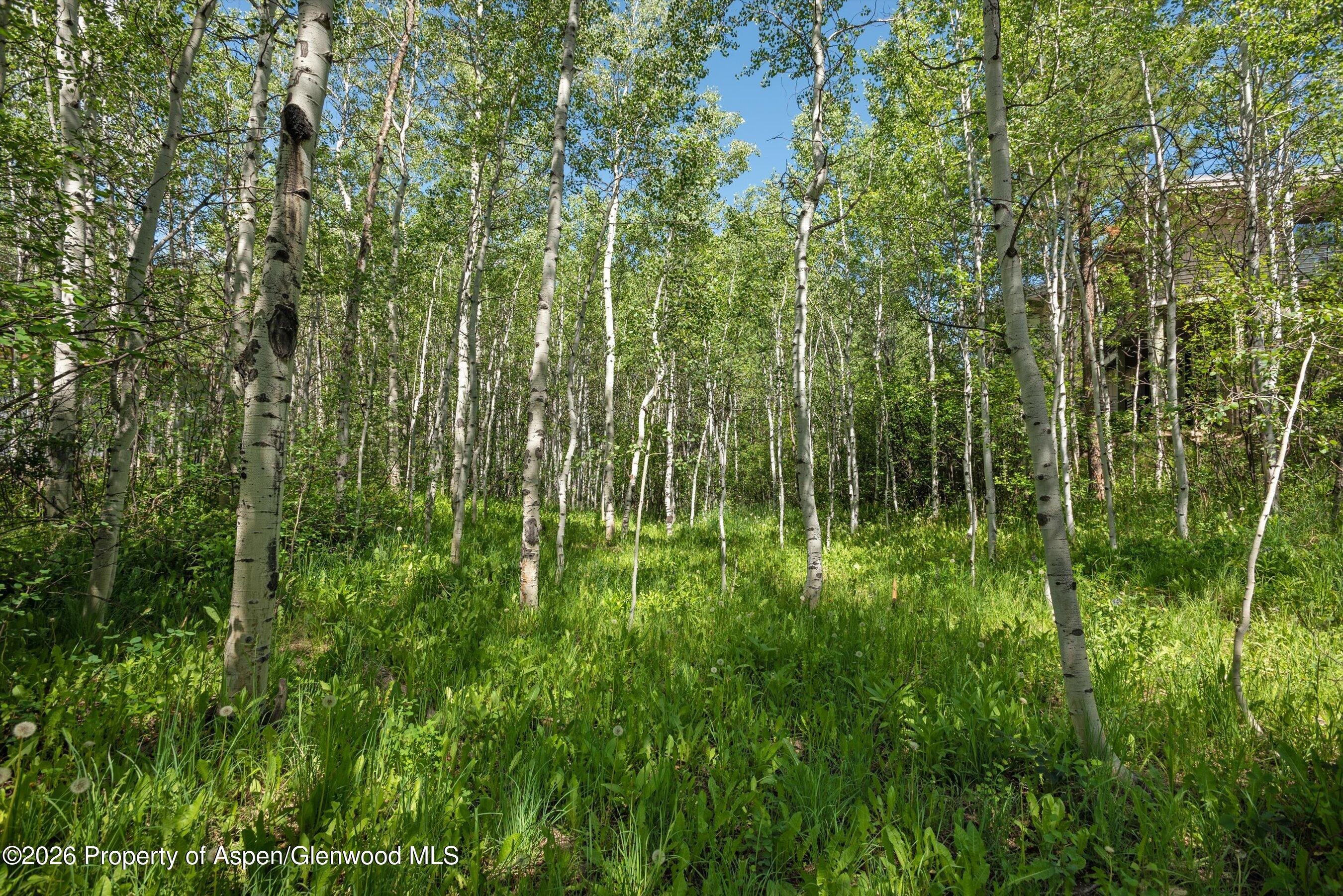 1265 Riverside Drive Aspen CO 81611