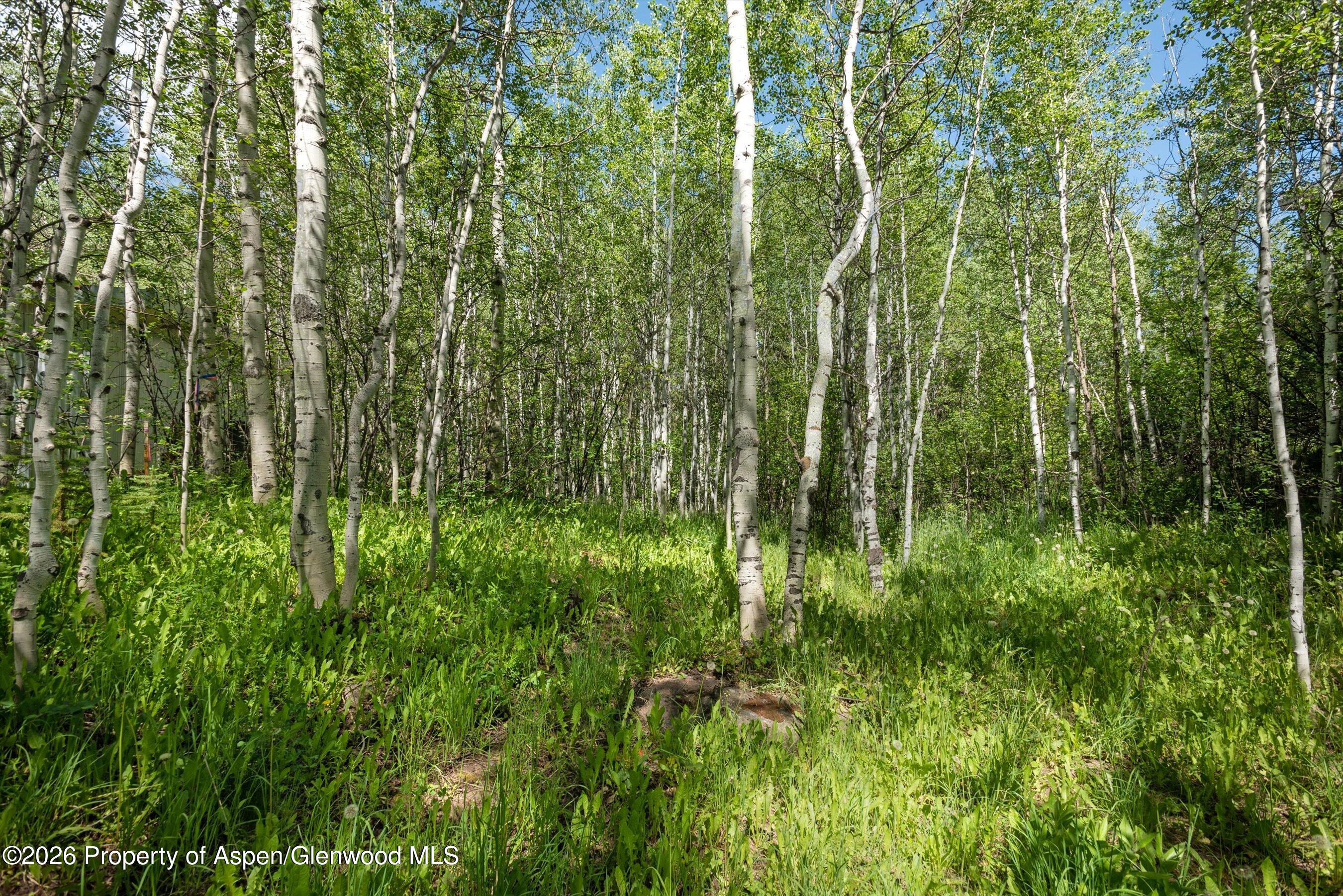 1265 Riverside Drive Aspen CO 81611