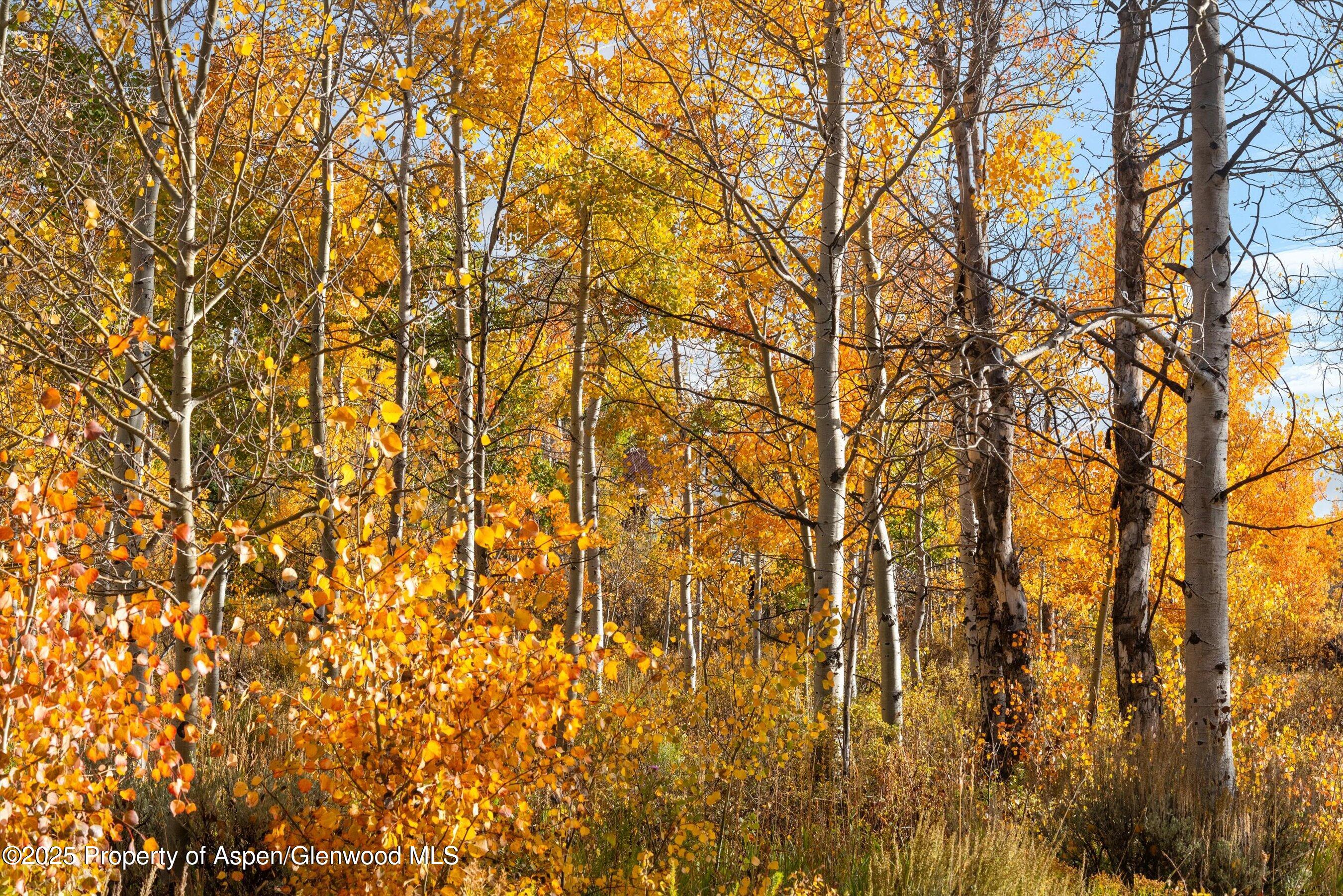 Tbd Spinnaker Lane Basalt CO 81621