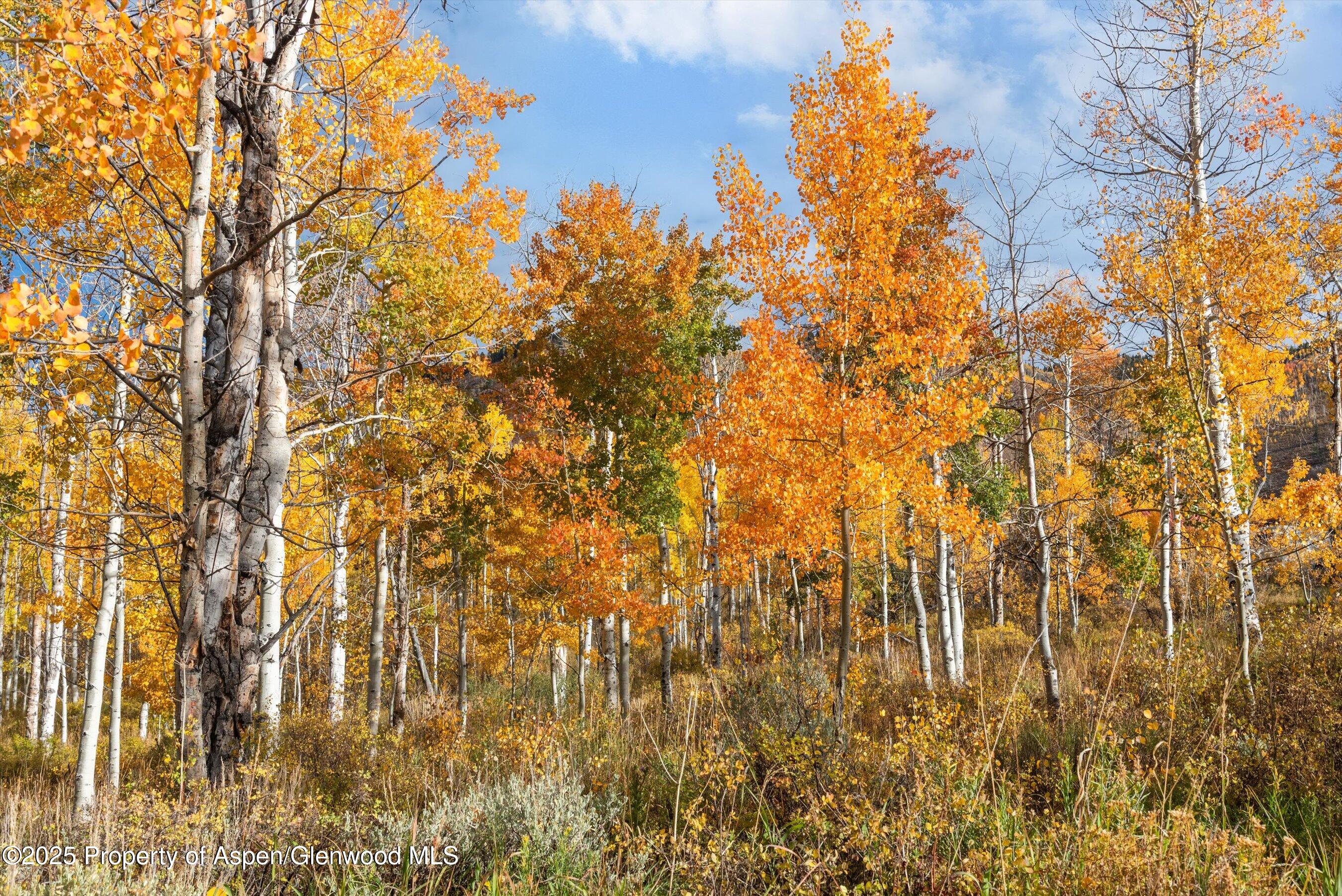 Tbd Spinnaker Lane Basalt CO 81621