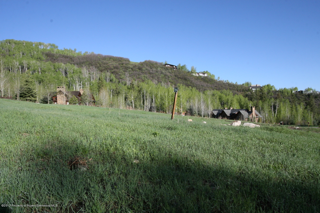 841 Serviceberry Snowmass Village CO 81615